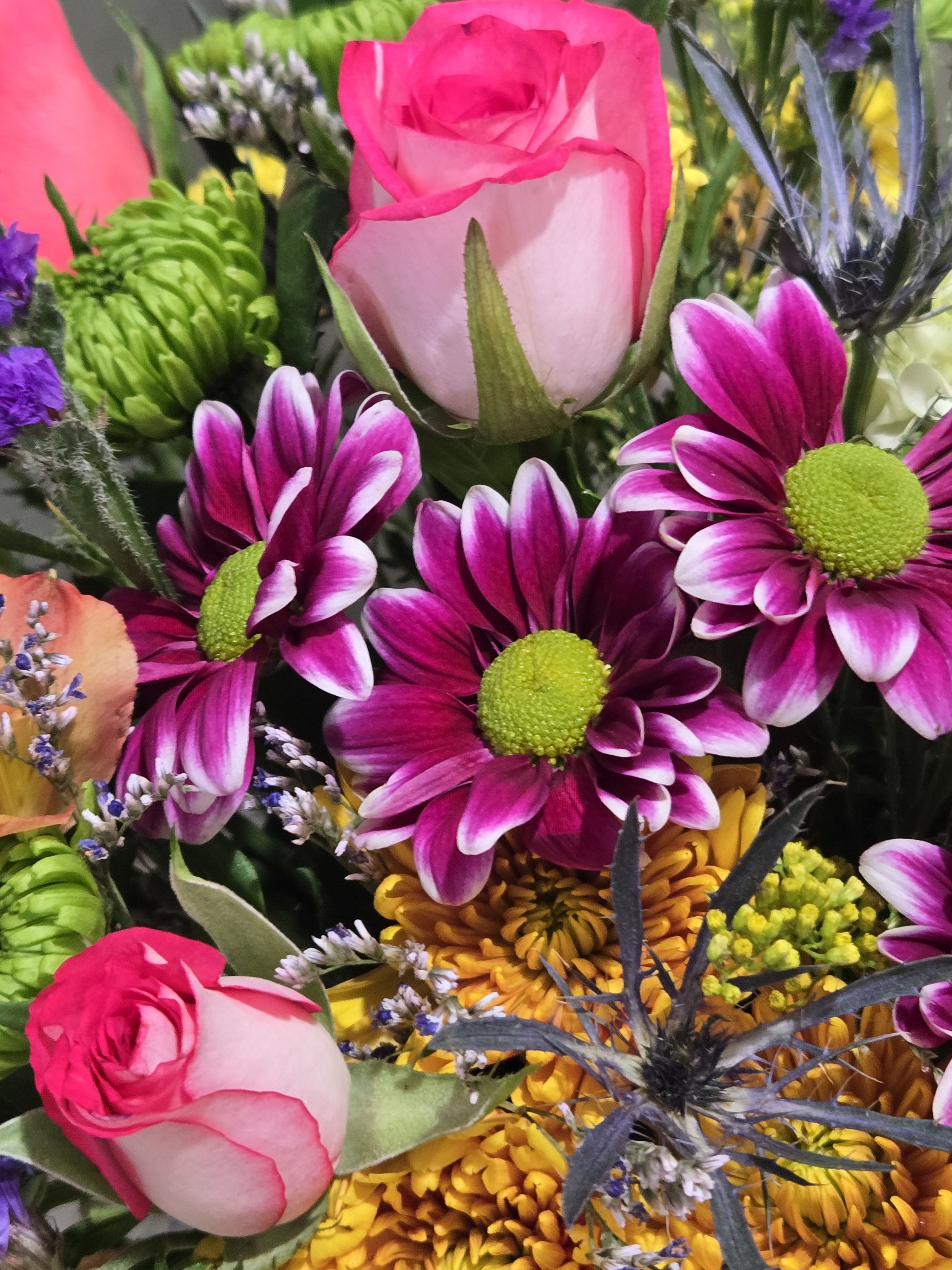 Bright mixed bouquet with pink roses, purple and white daisies, yellow mums, and green button flowers.