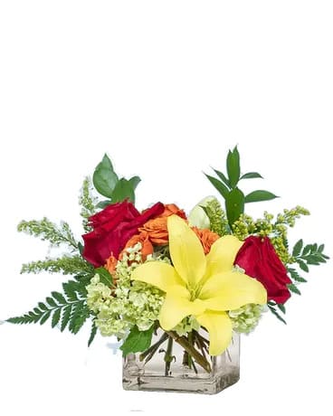 Low arrangement of yellow lily, red and orange roses, and green hydrangea in a clear glass cube vase