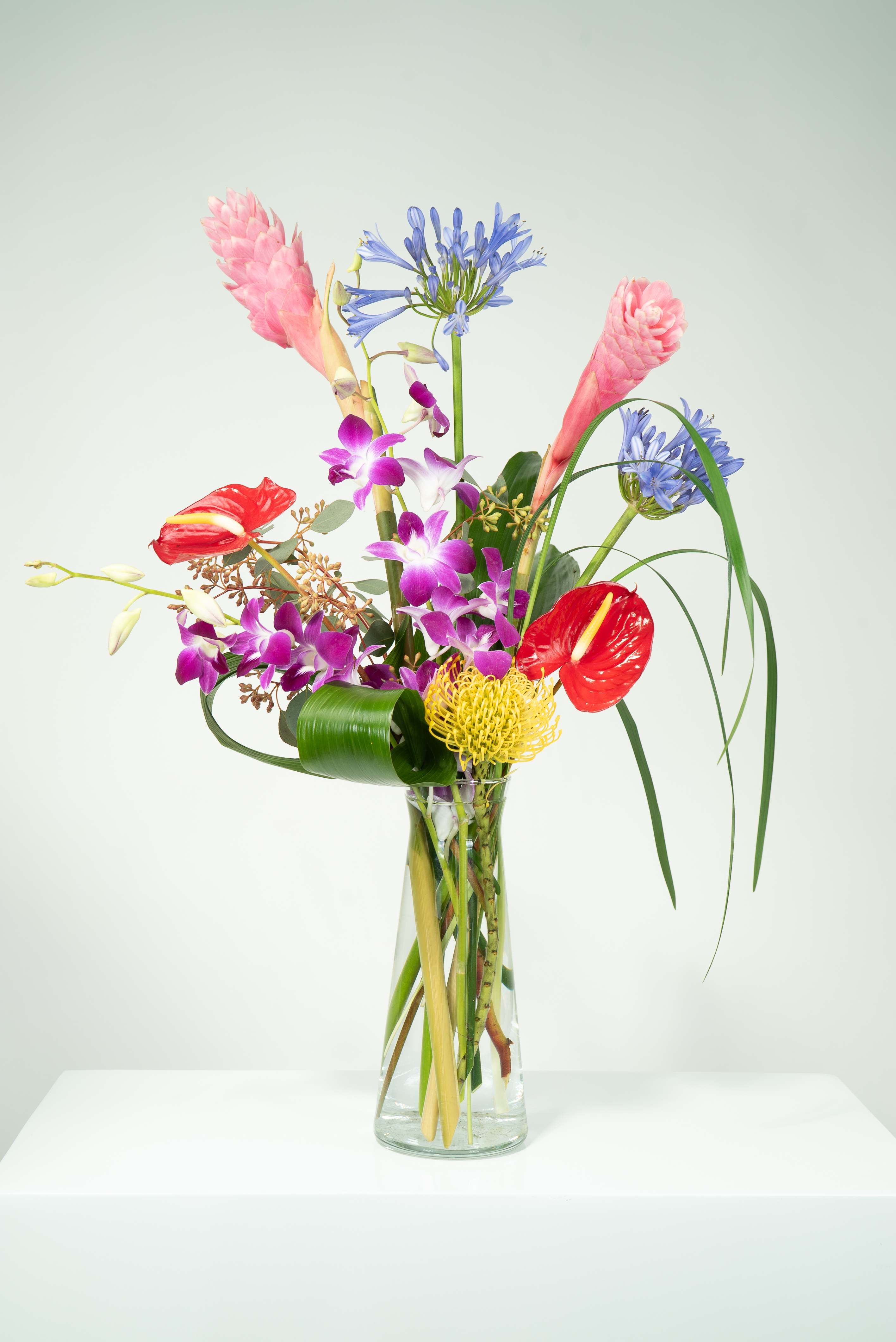 Tropical Talk - This modern design puts you in a tropical vibe. Centered are orchids and anthuriums, ginger and agapanthus stems bringing balance to the eye. It is complimented with a single protea and accented greens.. 