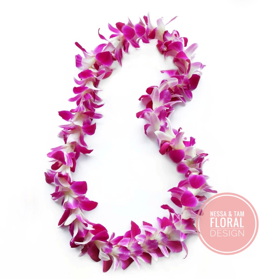 Single strand of pink and white orchid lei arranged in a loose oval on a white background