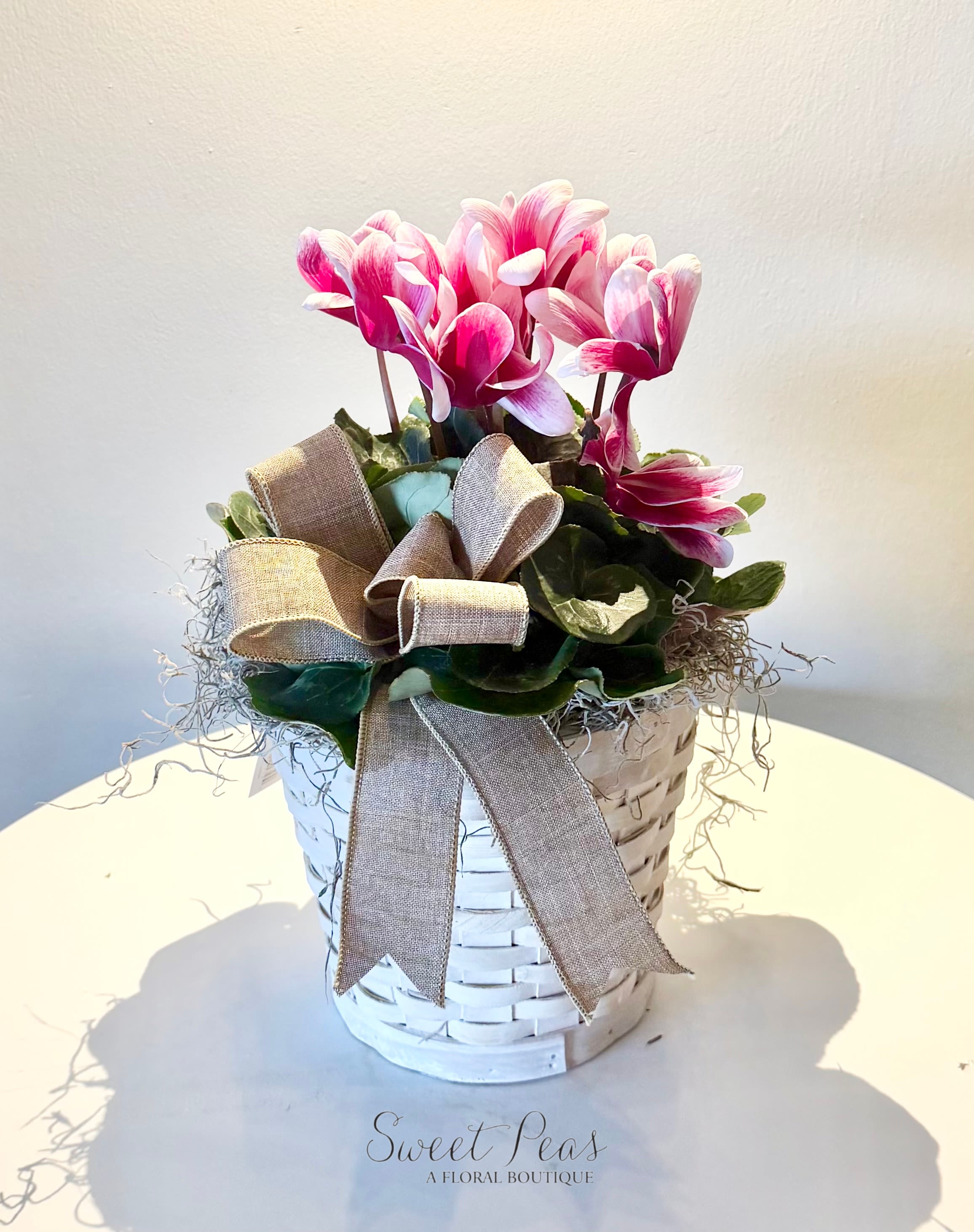 6" Pink Cyclamen - Delicate and elegant, the Pink Cyclamen Basket features graceful Pink cyclamen blooms rising above rich green foliage. Designed in a woven basket and finished with a charming ribbon, this piece offers a timeless, cottage-inspired feel. With its soft beauty and compact size, it’s a lovely choice for everyday gifting, get well wishes, or adding a fresh touch to any space.