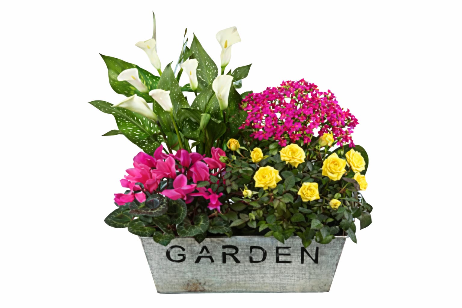Blooming garden planter - Beautiful garden basket with assorted blooming plants. Plants vary in colors and types upon availability and are seasonal.