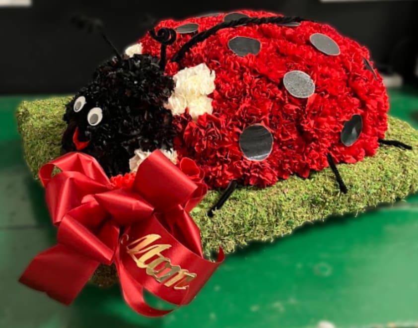 Lady Bug Tribute - This unique and heartfelt tribute features a three dimensional ladybug design, carefully created entirely from fresh flowers. Symbolizing comfort, love, and remembrance, this piece offers a special and meaningful way to celebrate a loved one’s life.  Designed as a 3D form with a 24" base, the ladybug provides a striking and memorable display, making it suitable for funeral services or memorials.  This is a custom piece that requires time to design, so please allow adequate time before the service. Kindly call the shop to place your order.  If you would like a script included on the ribbon, please note your request in the florist note section when placing your order.  For delivery, please enter the name of the deceased in the recipient field and include the correct date of the service to ensure proper timing and placement.