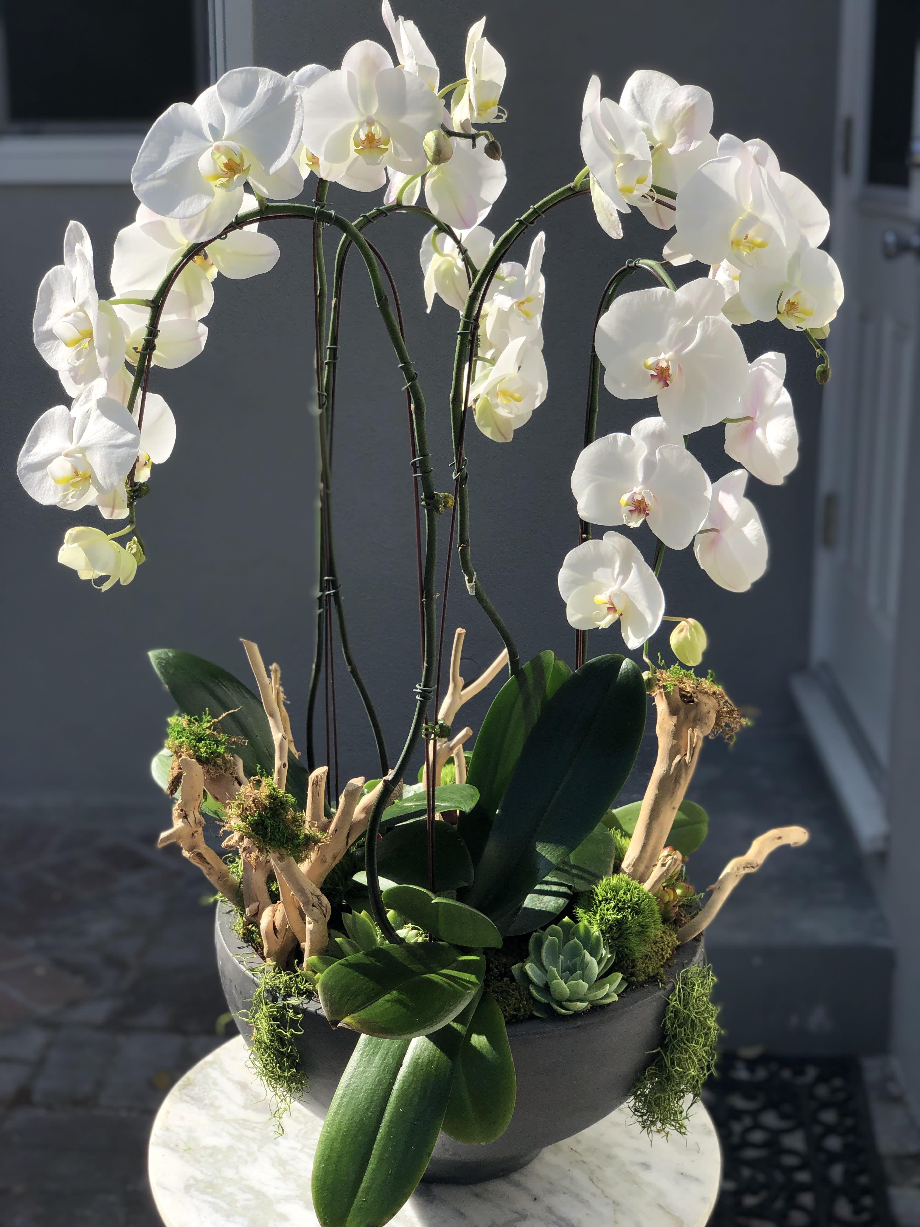 Orchidea Bianca  - Send the magic of this stunning arrangement that is sure to make a grand entrance. Gorgeous white phalaenopsis orchid arrangement in a lovely ceramic bowl surrounded with succulents, cascading orchids, air plants and driftwood pieces.   *Please feel free to contact us for customization options