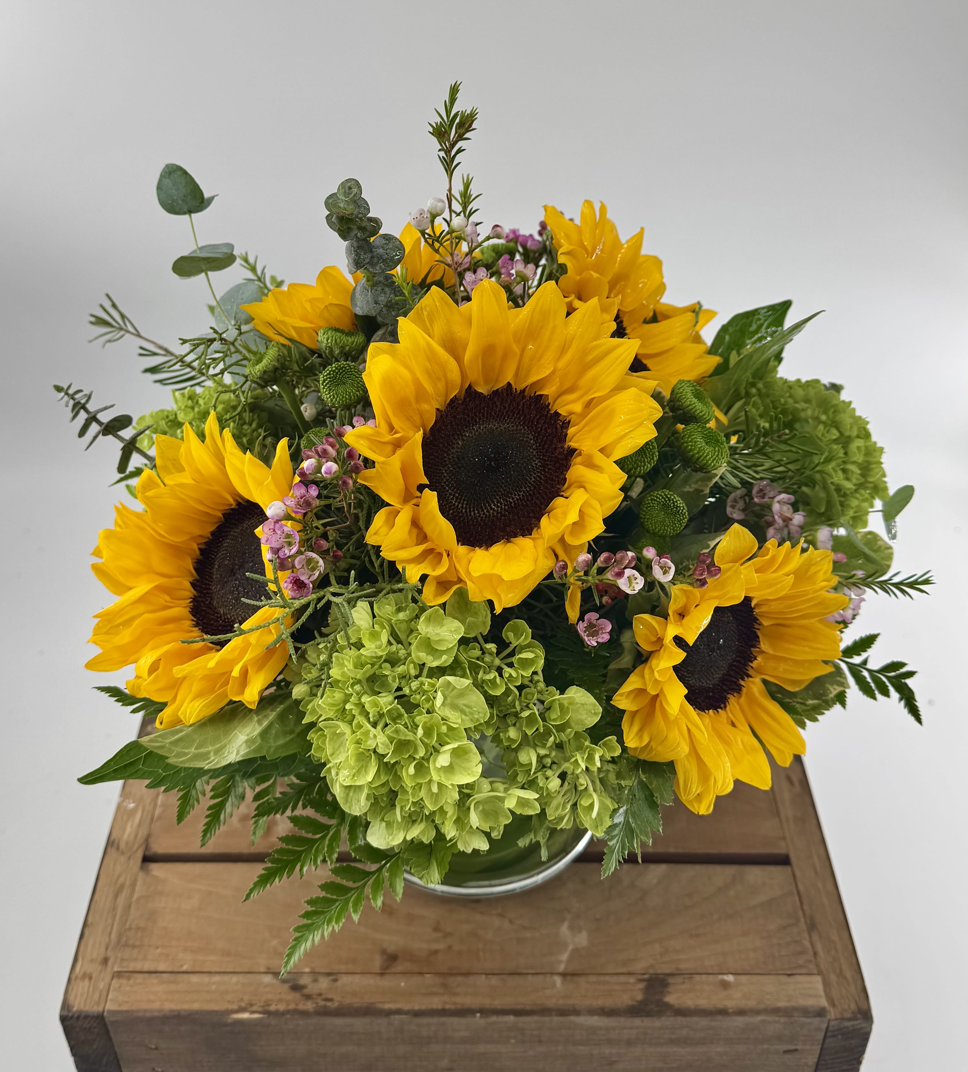 Radiant Sunshine (DL) - Introducing the Radiant Sunshine flower arrangement, a stunning display of vibrant beauty that will leave you amazed. This arrangement features the radiant charm of sunflowers, mini green hydrangea, and the lively green hues of button poms, all thoughtfully arranged in a clear glass vase.  