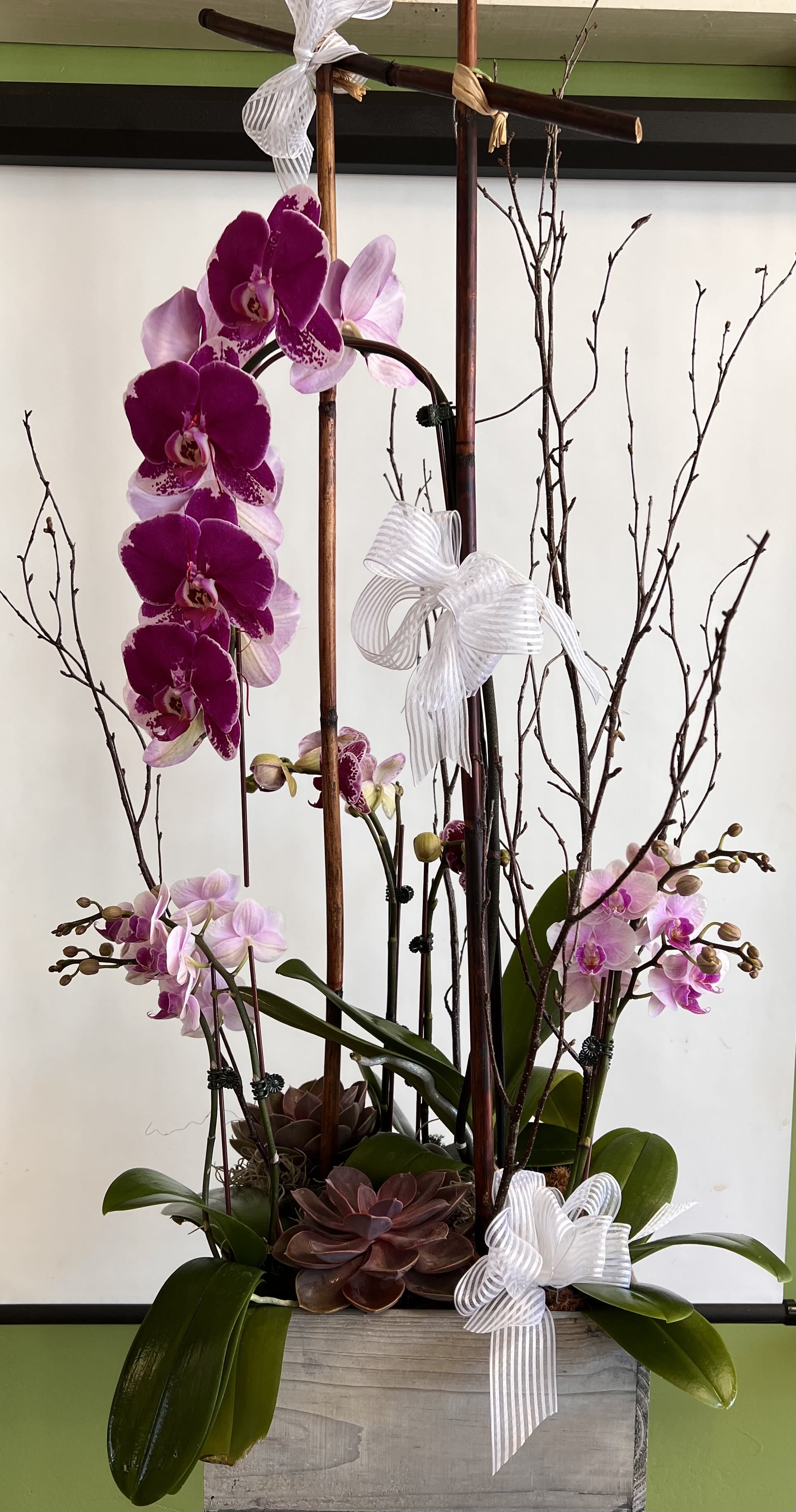 Island Breeze - Orchids plants with a touch of succulents and bird branches! Elegant!