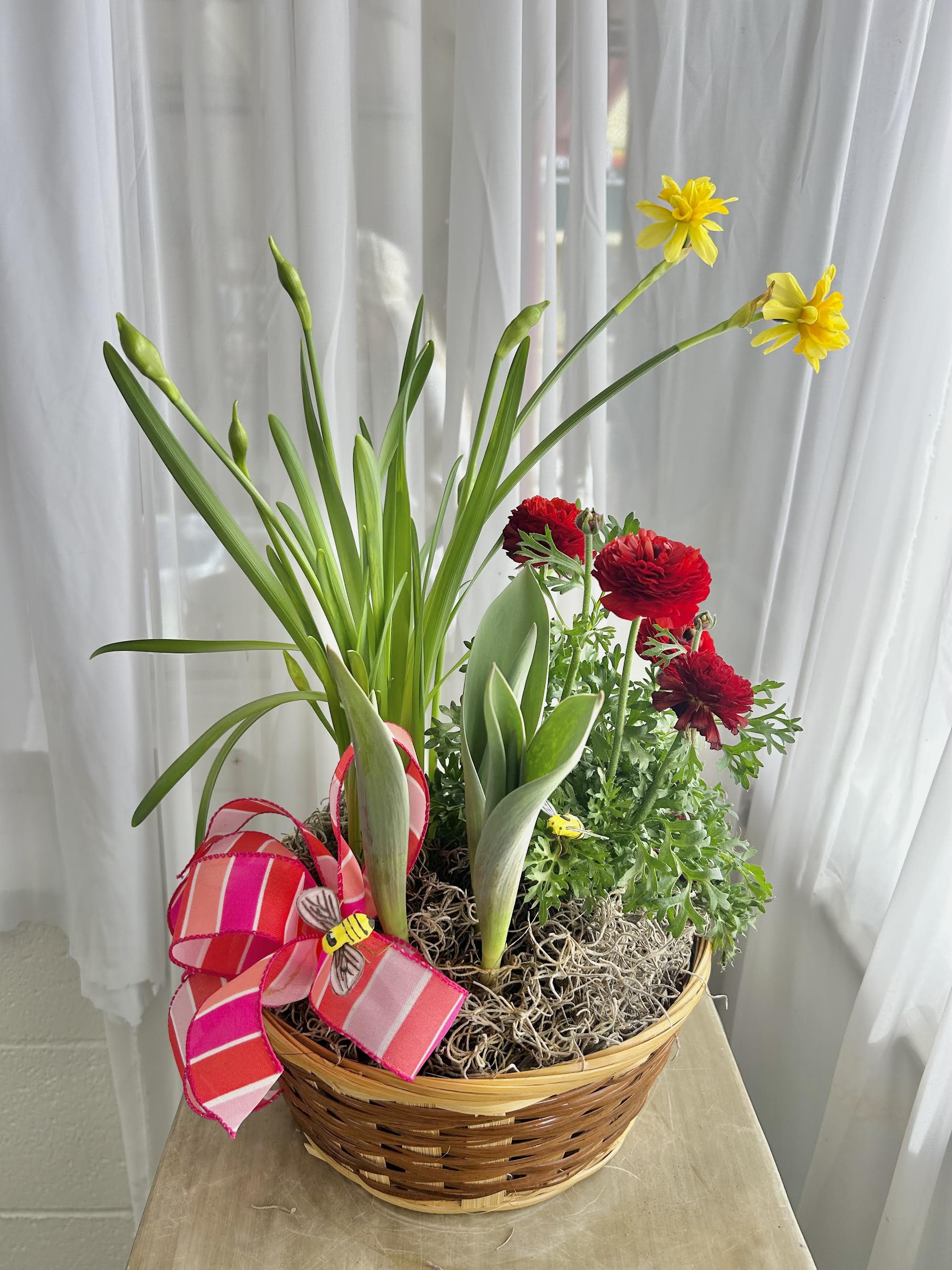 Spring Bulb Basket - A seasonal spring basket with bulb flowers. Tulips, daffodil, and ranunculus planted together to be enjoyed during the season, then can be planted outdoors to enjoy for seasons to come.