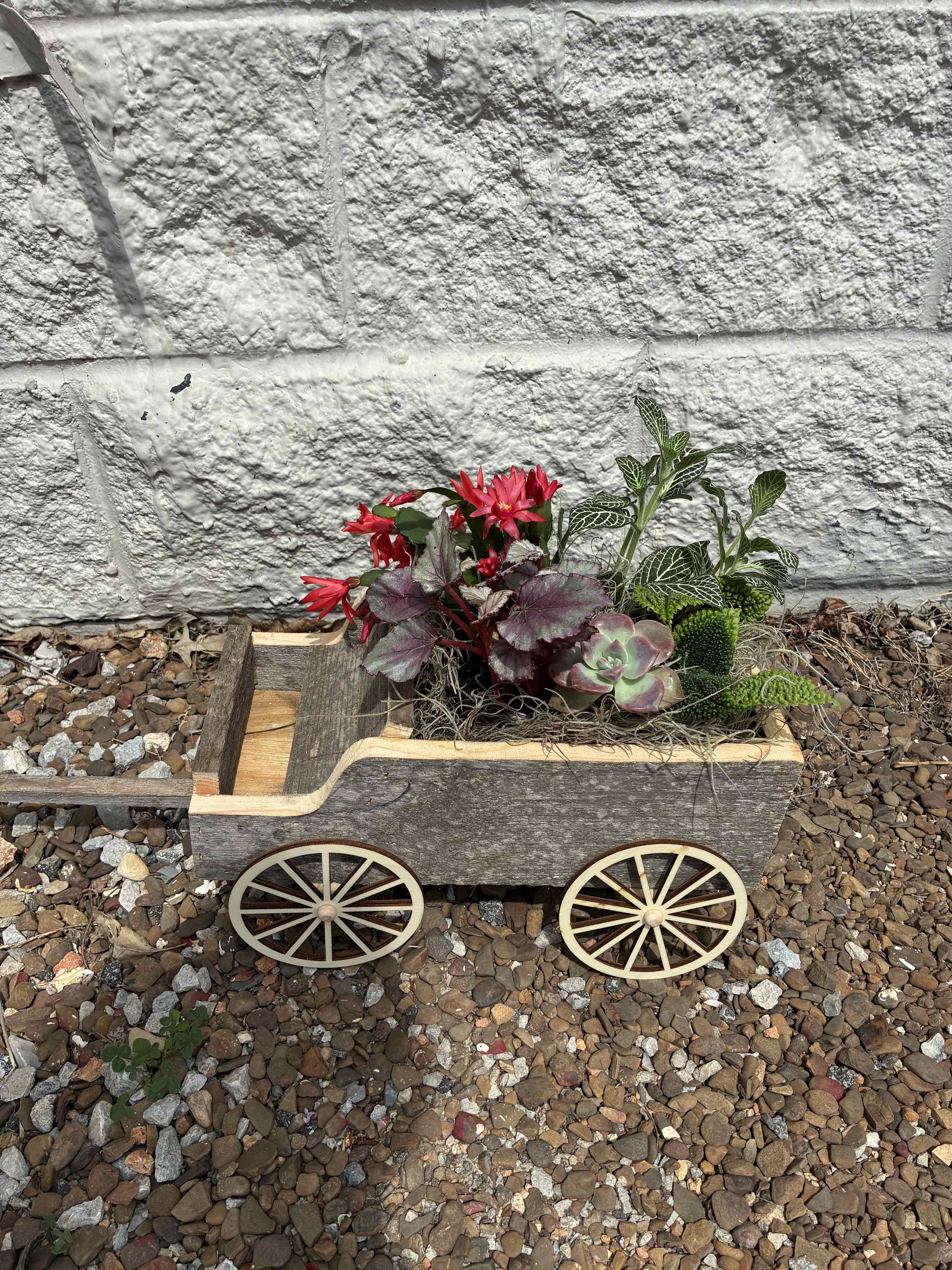 Wagon of Love - local handmade wooden wagon with green and/or blooming plants