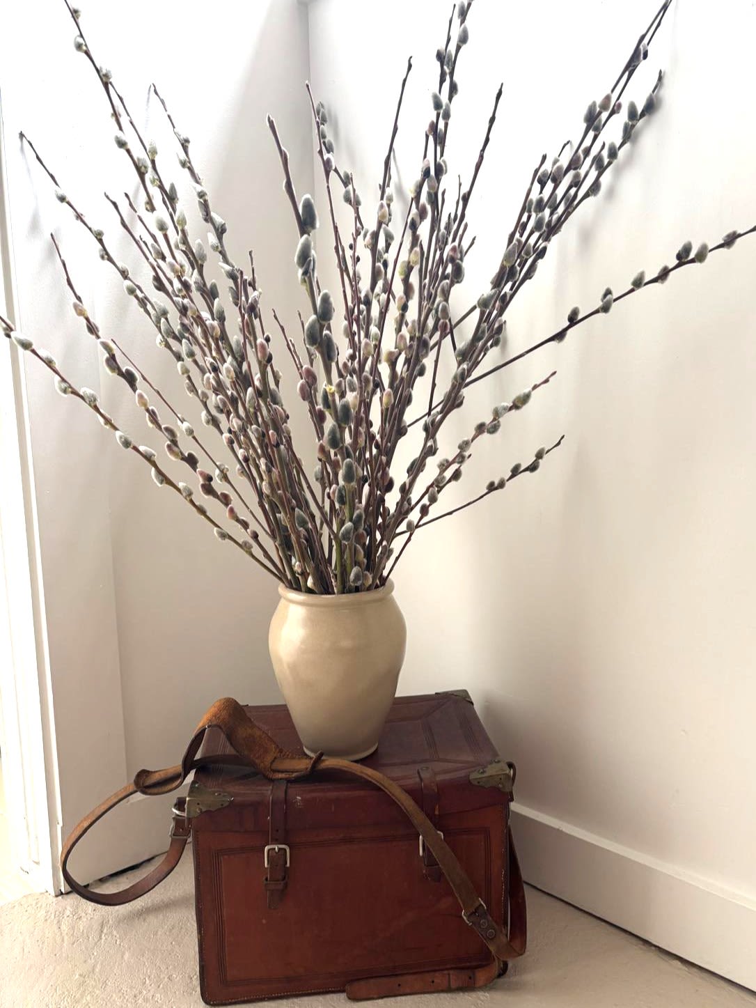 Pussy Willow Bundle - We are a small studio florist in a small town. Every bouquet we create is a one-of-a-kind creation, tailored to the season, availability of flowers, color choice, artistic interpretation, and the current materials available. The photos do not represent the exact flowers that will be delivered. They are intended to provide you with an idea of what we do, how we do it, and the variance that can be expected.The season, availability of flowers, color choice, artistic interpretation, and the current materials available. The photos do not represent the exact flowers that will be delivered. They are intended to provide you with an idea of what we do, how we do it, and the variance that can be expected.