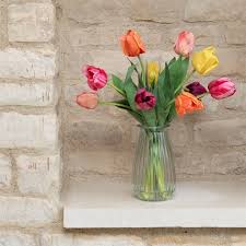 Springtime Tulips - Nothing says spring like tulips. Mixed-color tulips bursting with spring cheer-perfect for Easter or any occasion: Mother's Day, anniversaries, birthdays, housewarmings, new baby, thank yous, apologies, or just because.