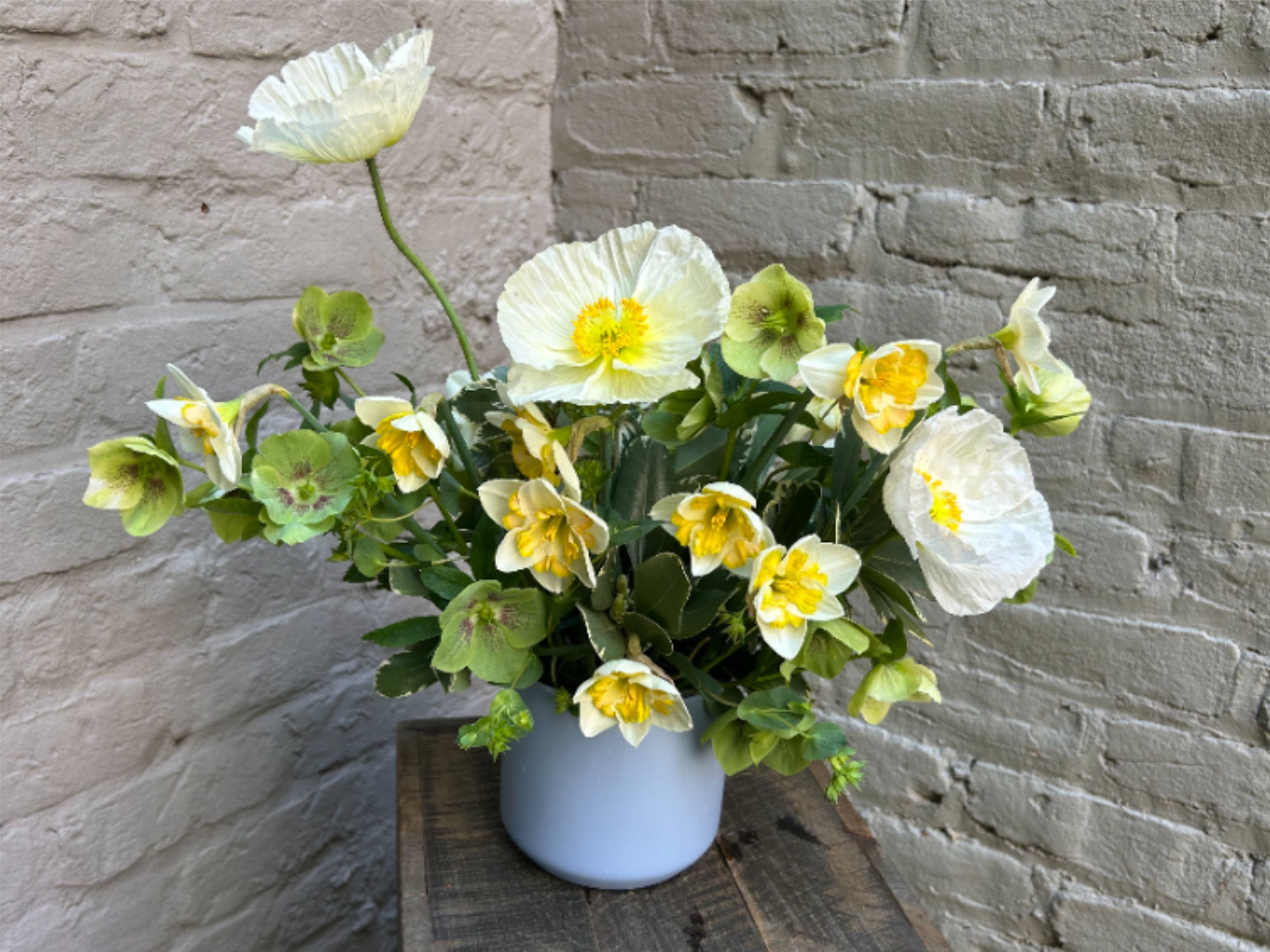Peace on Earth - Lush and locally-grown hellebores, poppies and daffodils create cheery yet elegant display in a soothing blue ceramic cylinder vase.  Measures approximately 17x17".