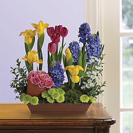 Spring Favorites - The fun potted flower arrangement is a wonderful way to welcome a spring, Easter, new baby, cheer up someone you love or brighten your own entryway. Also, a great housewarming gift and is perfect for any occasion!