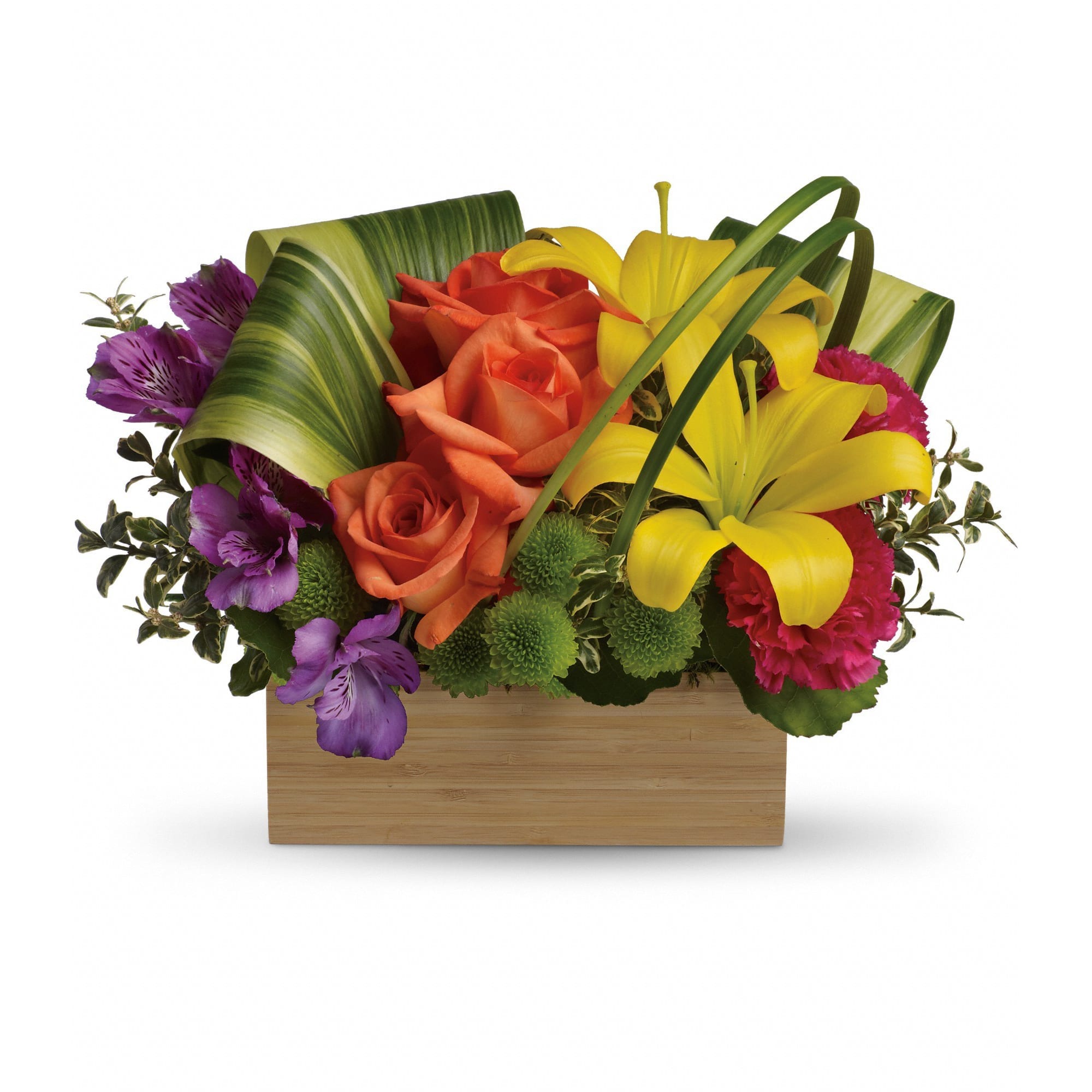 Teleflora's Shades Of Brilliance Bouquet - Send her a rainbow! Golden lilies, radiant roses and regal alstroemeria burst brilliantly from a contemporary bamboo box. What a chic, stunning way to brighten her day!  Gorgeous orange roses, yellow asiatic lilies, purple alstroemeria, hot pink carnations and green button spray chrysanthemums are arranged in a rainbow assortment with variegated aspidistra, lily grass and oregonia. Delivered in a Bamboo Rectangle vase.  Approximately 14" W x 10" H  Orientation: One-Sided  As Shown : TEV32-3A Deluxe : TEV32-3B Premium : TEV32-3C