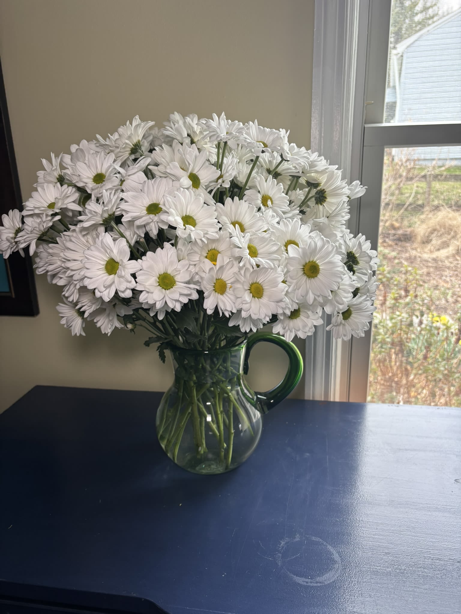 Blooming Pitcher - New beginnings, simplicity, and cheerfulness are the hallmarks of daisies.  They are a beloved flowers perfect to send someone some cheer for births, new homes, graduations or well wishes.  The food safe glass pitcher creates the perfect vase for these flowers with a lasting reminder of the joy you send in the pitcher.  