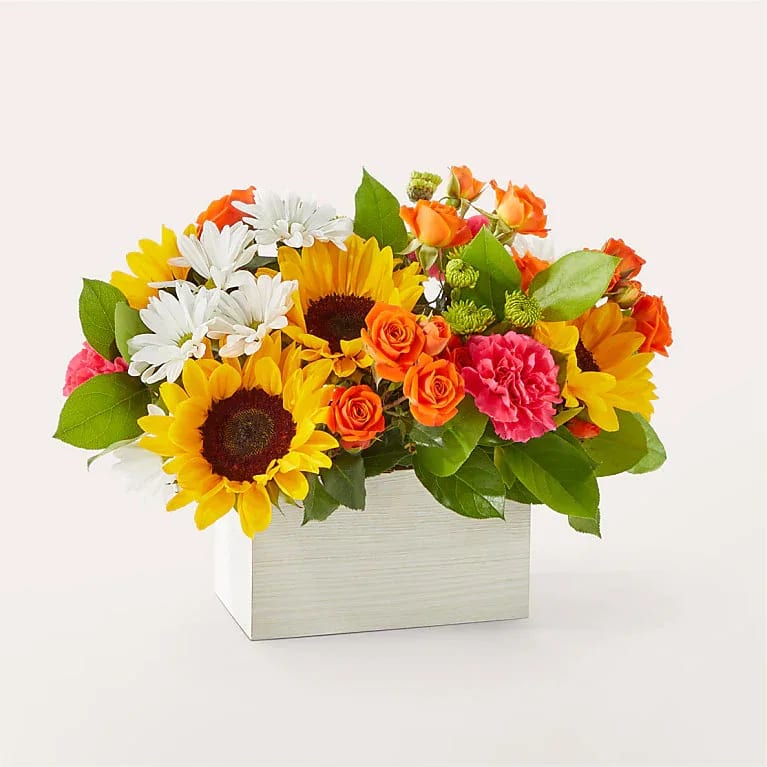 SUN DRENCHED BLOOMS  - Feel the warmth radiating from these colorful stems, sure to put a sunny smile on your recipient's face.