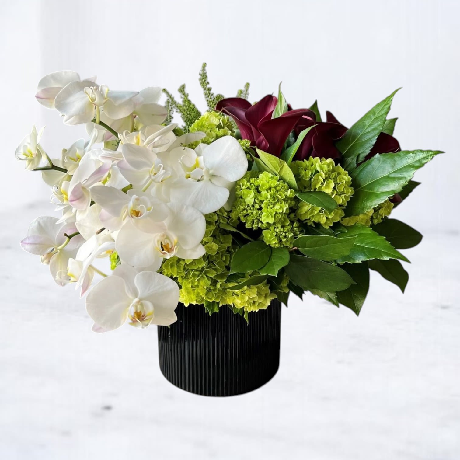 Obsidian - Obsidian is a bold, sculptural floral arrangement defined by contrast, texture, and intentional design. Featuring cascading white orchids, rich burgundy accents, and lush green hydrangea, this arrangement is grounded in a modern black vessel that gives it a striking, architectural presence.  Designed to make a lasting impression, Obsidian is an elevated choice for moments that call for something meaningful—whether honoring a life, marking an important milestone, offering support, or delivering a statement gift that feels refined and thoughtful. Its balance of light and depth allows it to move effortlessly across occasions while maintaining a strong, composed aesthetic.  Arranged with premium seasonal blooms and hand-delivered with care, Obsidian brings quiet strength, elegance, and intention to any space.  Due to seasonal availability, specific flowers may vary while preserving the overall look, scale, and design integrity of the arrangement.