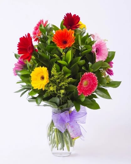 DOZEN GERBERA DAISY ARRANGEMENT - This arrangement is a medium/tall round arrangement in a classic dozen glass vase. To include, 12 mixed gerbera daisies, filler and mixed greenery