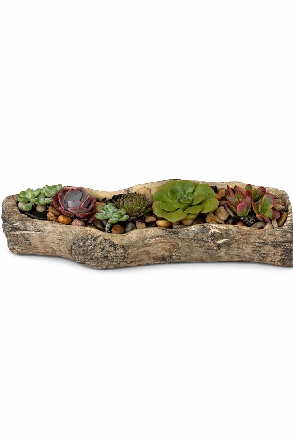 Cement Driftwood Succulent Garden   - A beautiful  crafted cement Driftwood planter filled with a  variety of vibrant succulents finished with natural stones for a clean look. This low maintenance arrangement brings a touch of nature and rustic elegant to any home or office. 