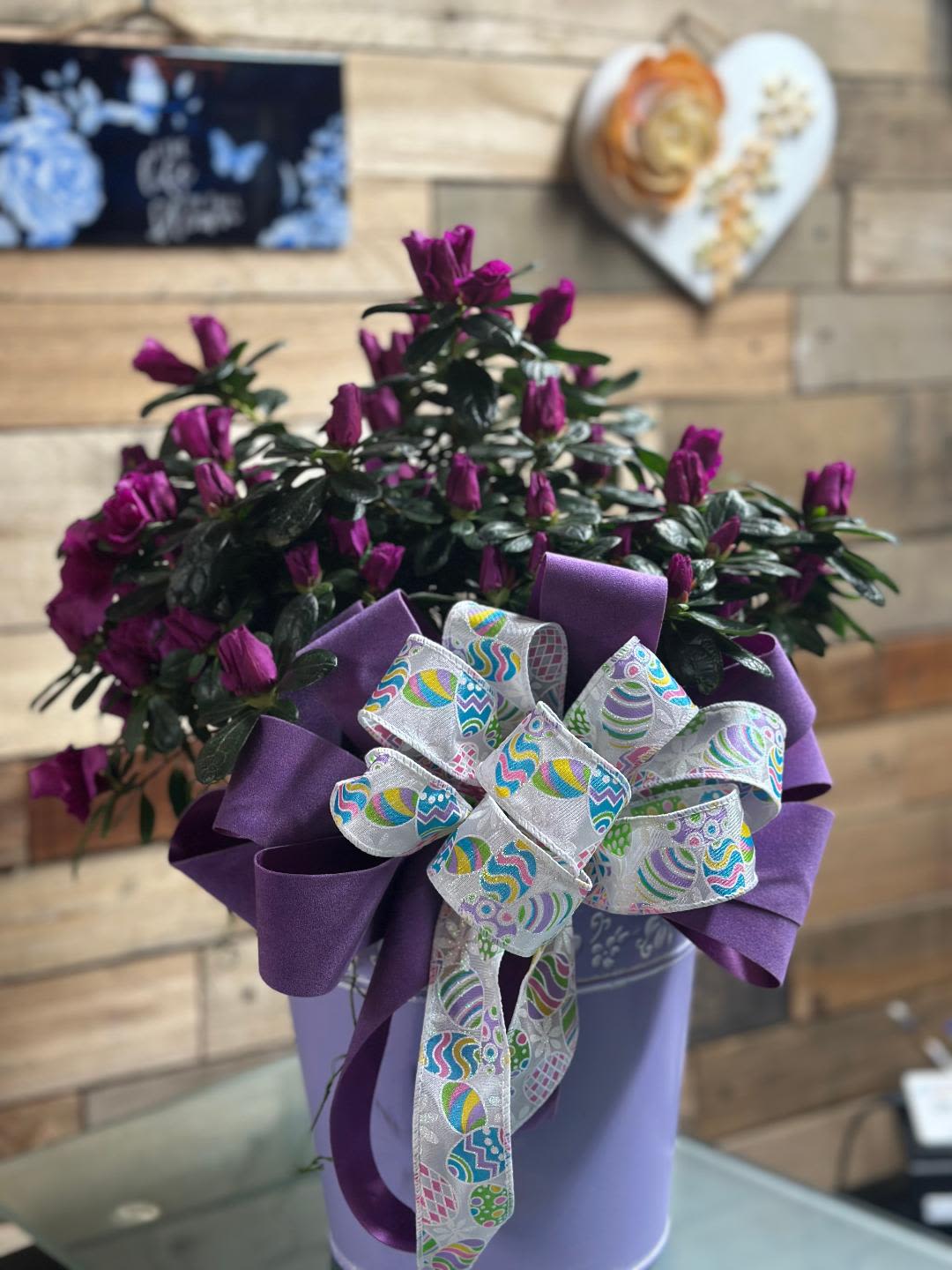 Azalea Bloomella - Azalea Bloomella brings a vibrant pep of color and beauty to any space. With its lush blooms and graceful charm, its a symbol of growth, strength and blooming with confidence in every season. Color will vary depending on the availability.