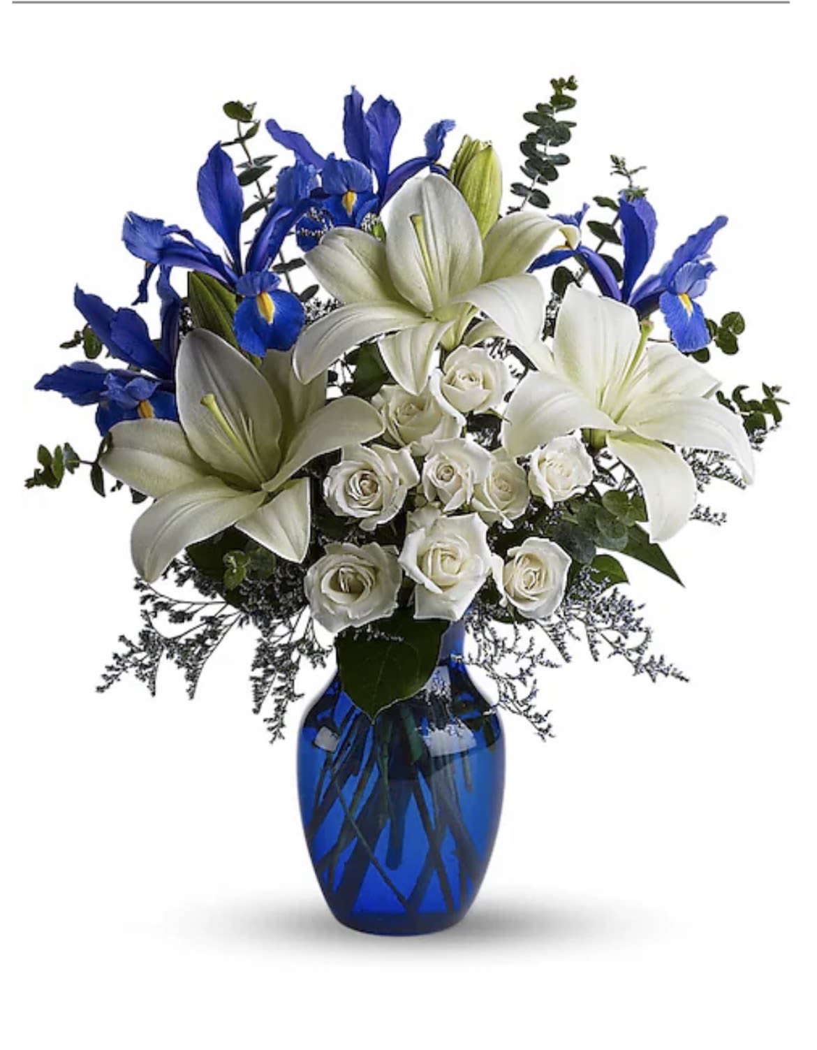 Misty Blue - This exquisite mix of white and blue irises, makes these a stunning gift for Hanukkah or just a present for the loved one 