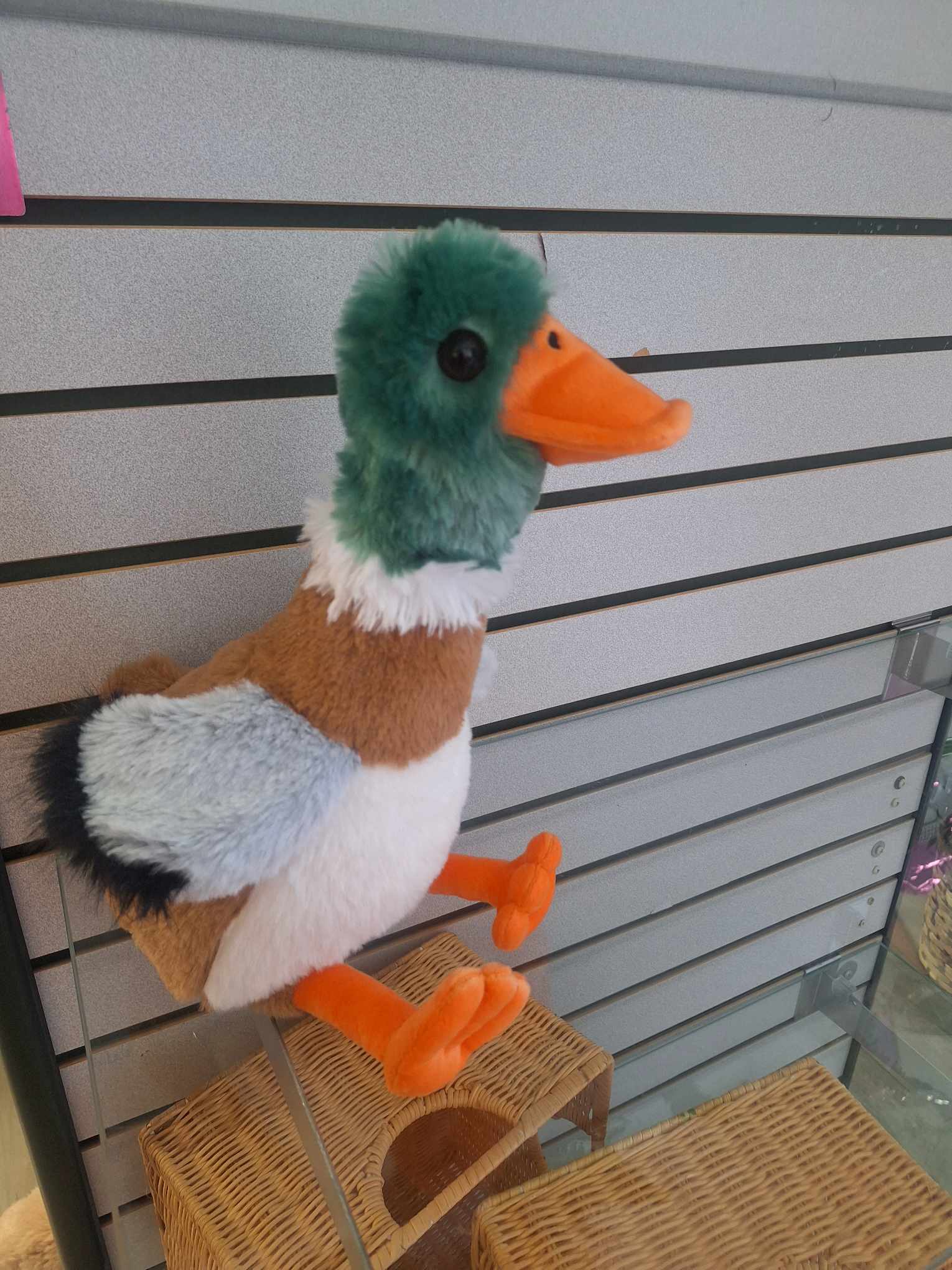 Plush duck toy with green head and orange beak sitting on a shelf.