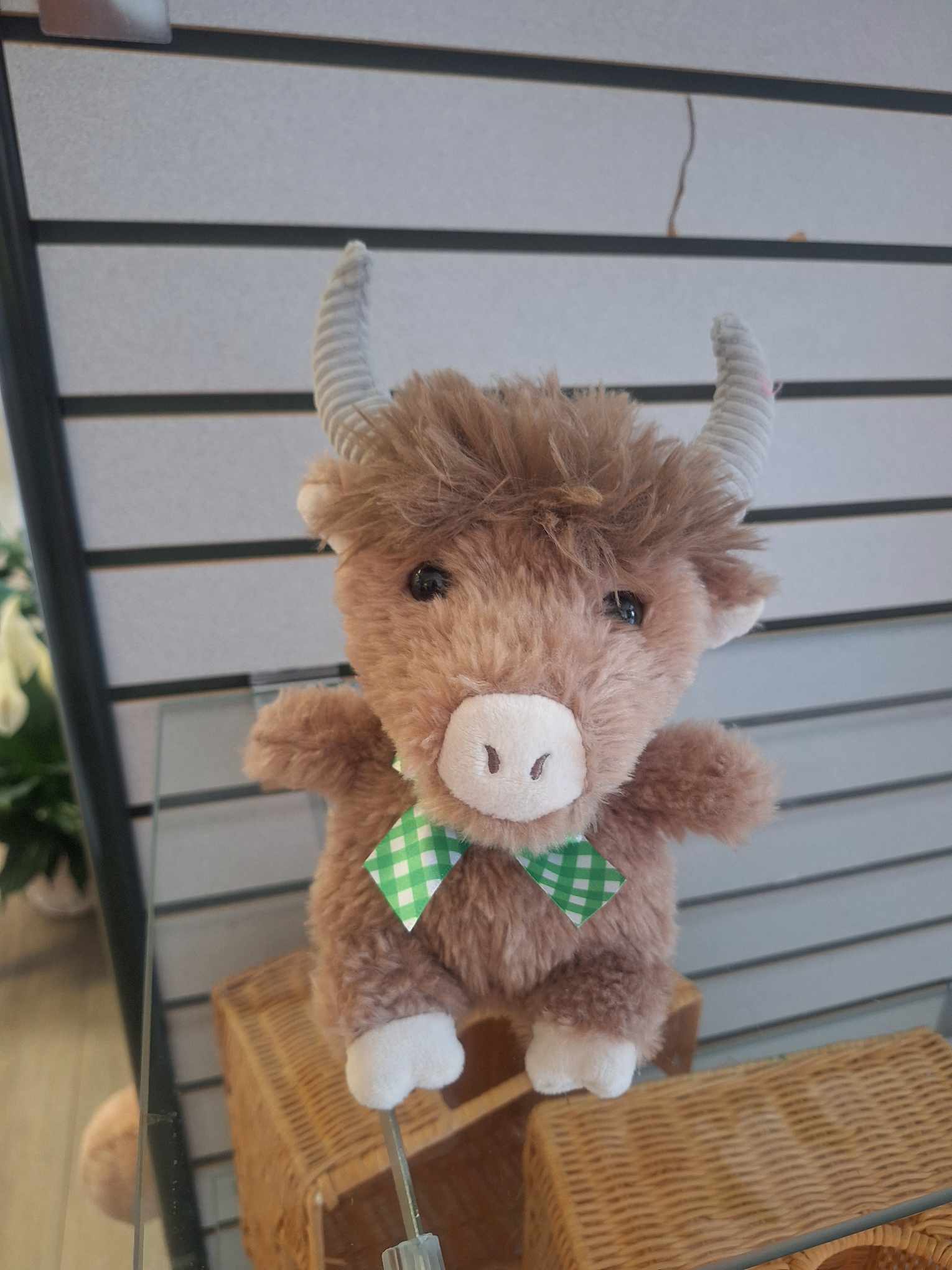 Small brown plush cow with curled horns and a green checkered bow displayed on a glass shelf.