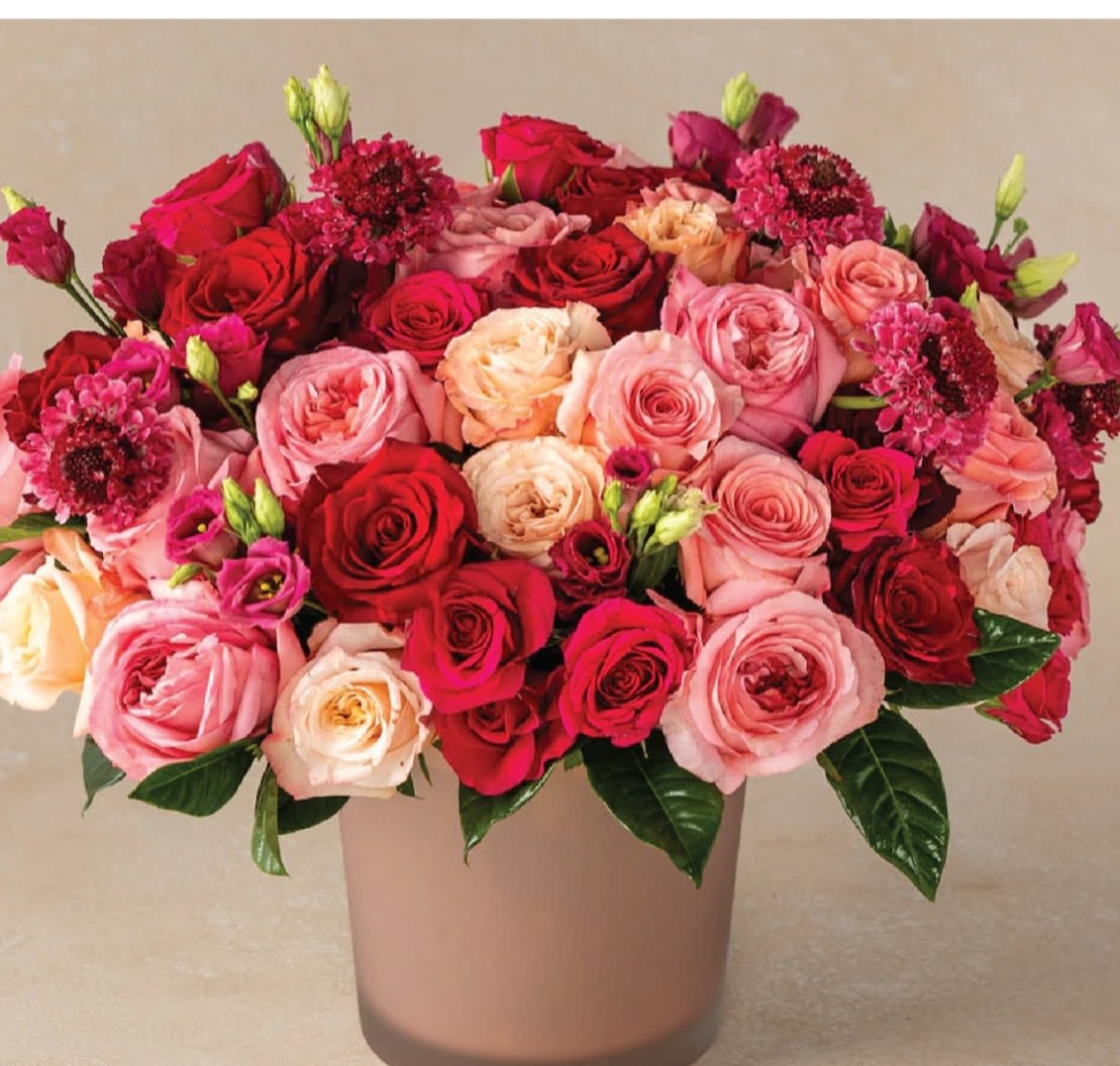 Roses in Bloom - A beautiful arrangement of colorful rose blooms