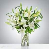 Peaceful Evening (DL) - Introducing the "Peaceful Evening" arrangement by BloomNation, a stunning floral display that exudes elegance and tranquility. This arrangement features exquisite all-white oriental lilies, complemented by lush greens, all beautifully presented in a clear glass vase.  