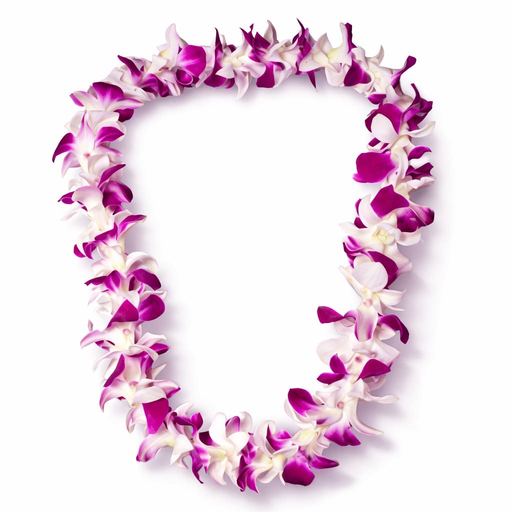 Single orchid lei (purple&amp;white or green&amp;purple) - Premium is not available in this specific instance. 