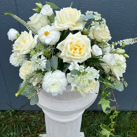 Ivory and white rose arrangement with accent blooms in a white pedestal urn