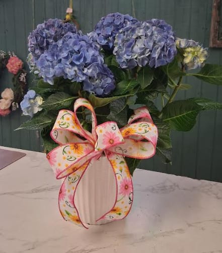 Blue Potted Hydrangea with Bow! - Blue Potted Hydrangea with Bow!