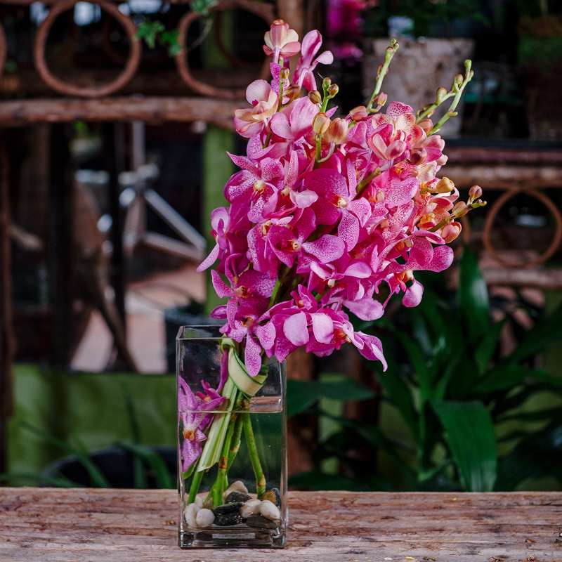 Tall cluster of bright pink orchids in a rectangular glass vase with stones.