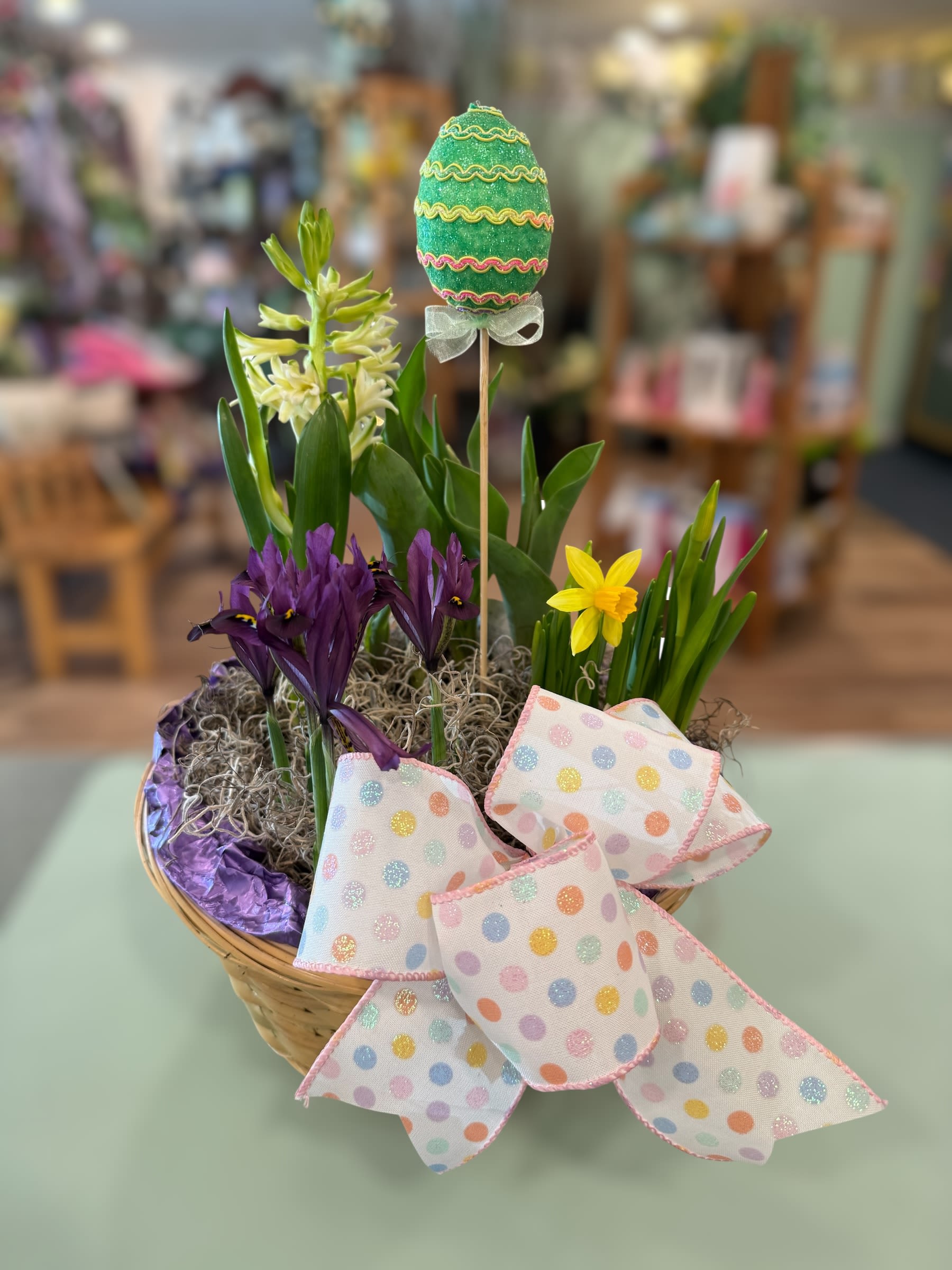 Spring Bulb Garden - Assorted bulb garden planted in a basket with a bow and Easter egg. 