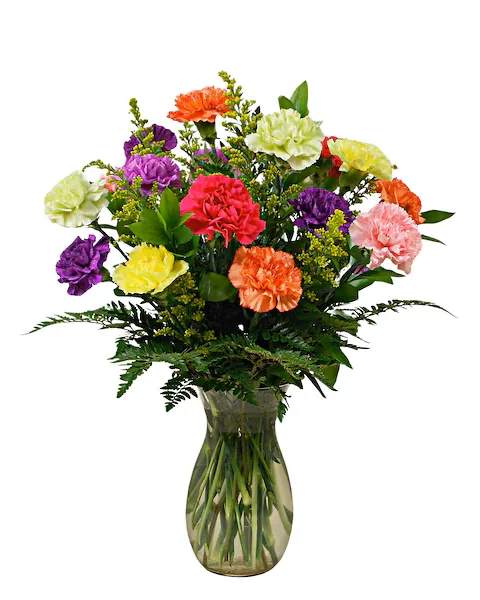 Classic Dozen Carnations - This simple yet elegant bouquet of 1 dozen carnation with baby's breath and beautiful greens 