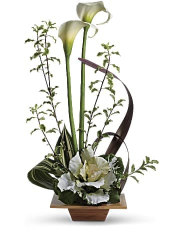 Grand and Elegant  - Two white calla lilies are mixed with kale, aspidistra, brown flax, pitta negra and galax leaves in a natural dish