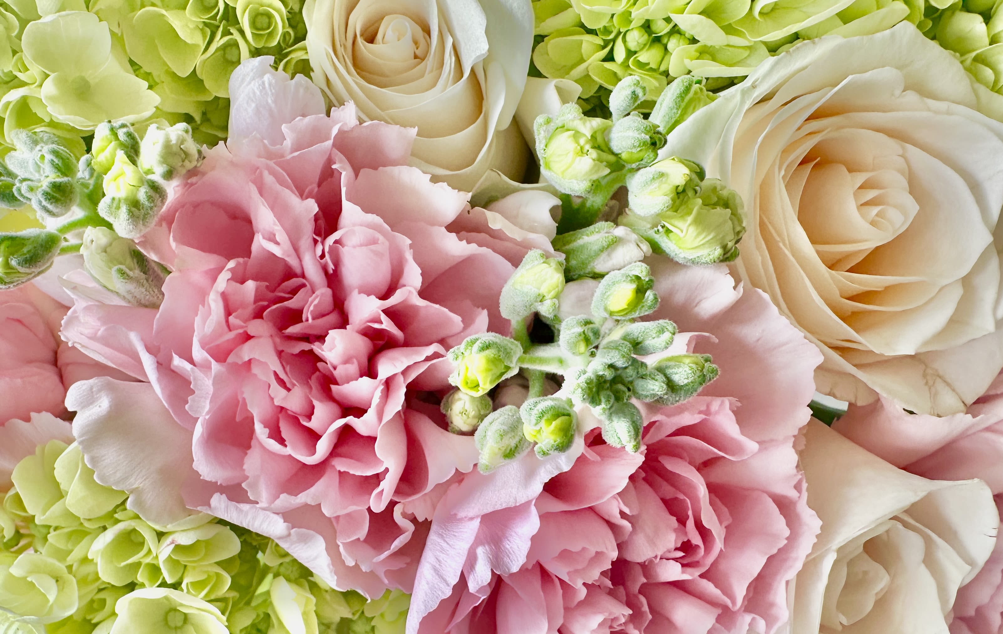 Spring Assorted - Florist's Choice - For when you don't know what to send or when you just want to send beautiful flowers.  Leave it up to one of our seasoned florists to put together something beautiful.  