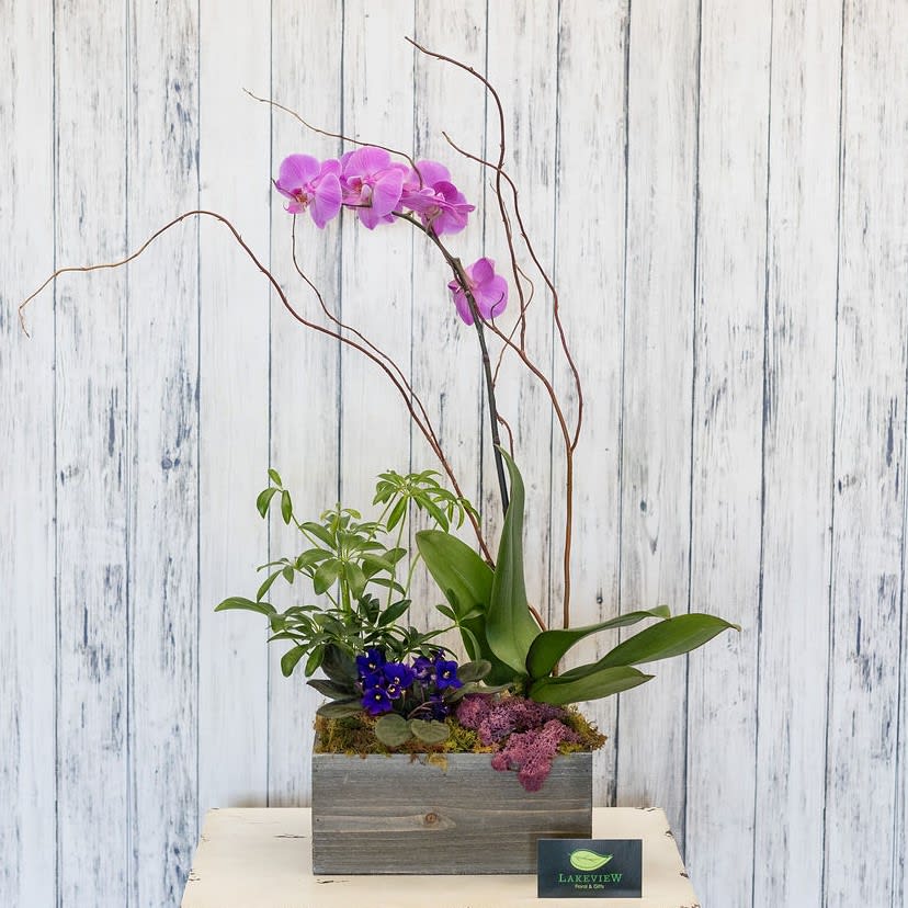 Tall planter with purple orchid, small green plant, and violet flowers in a gray wooden box