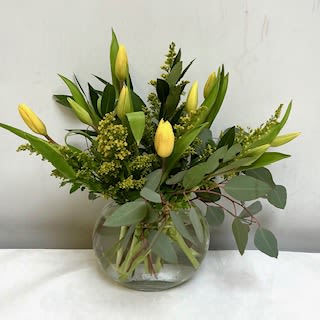 Simply Tulips - Spring's loveliest and most vibrant tulips are delivered in a special vase that's wrapped up with spring accents. Colors will very, for specific colors, please include in special instructions.  