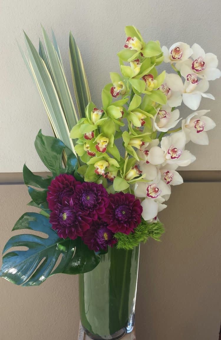 Tropical Impressions - Orchids and an array of dark maroon are embraced by giant monsterra leaves in this lovely arrangement. ( Due to global supply shortages….Please order in advance to ensure availability when ordering) 