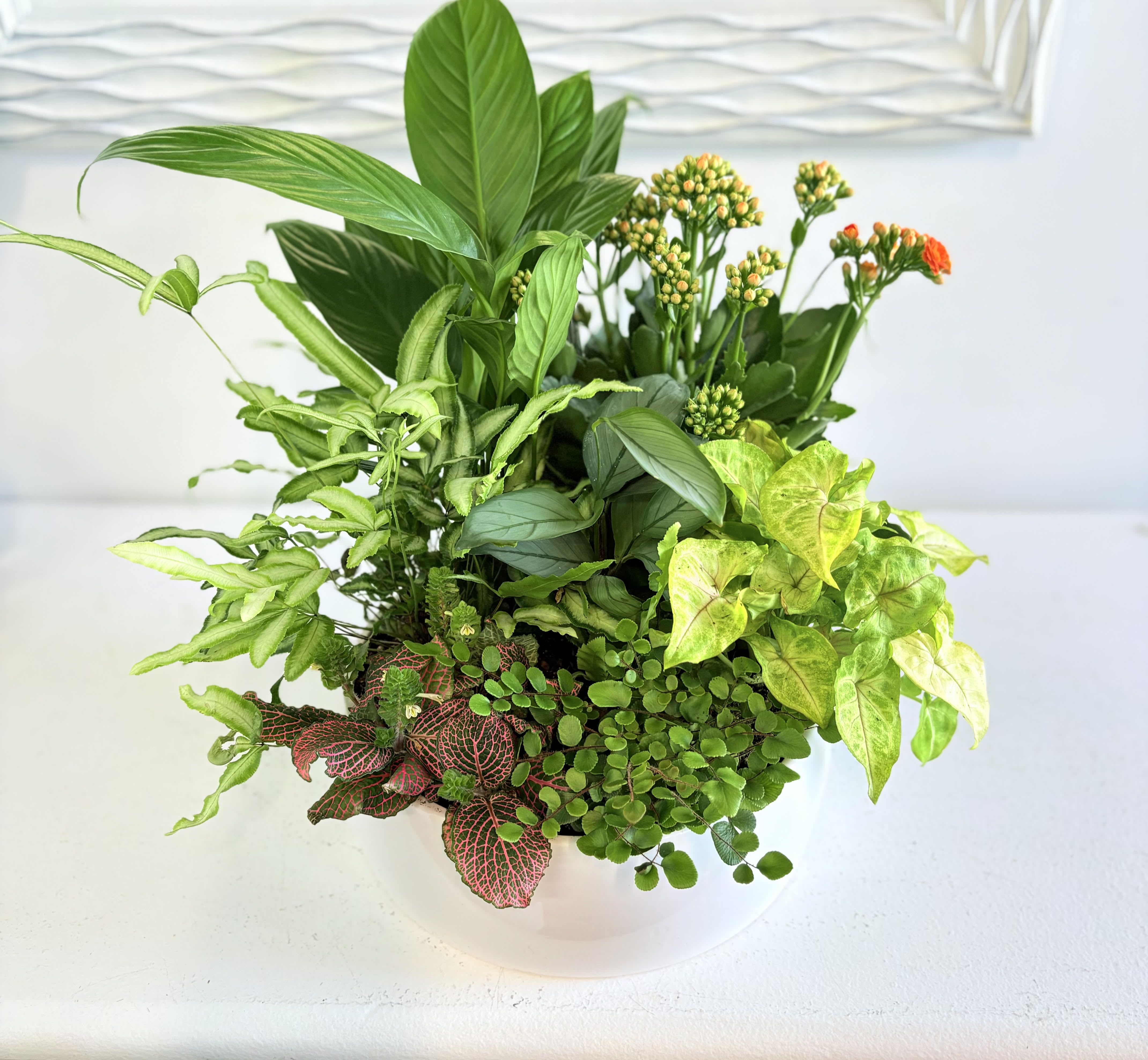Mixed green houseplants with small orange blooms arranged in a low white bowl.