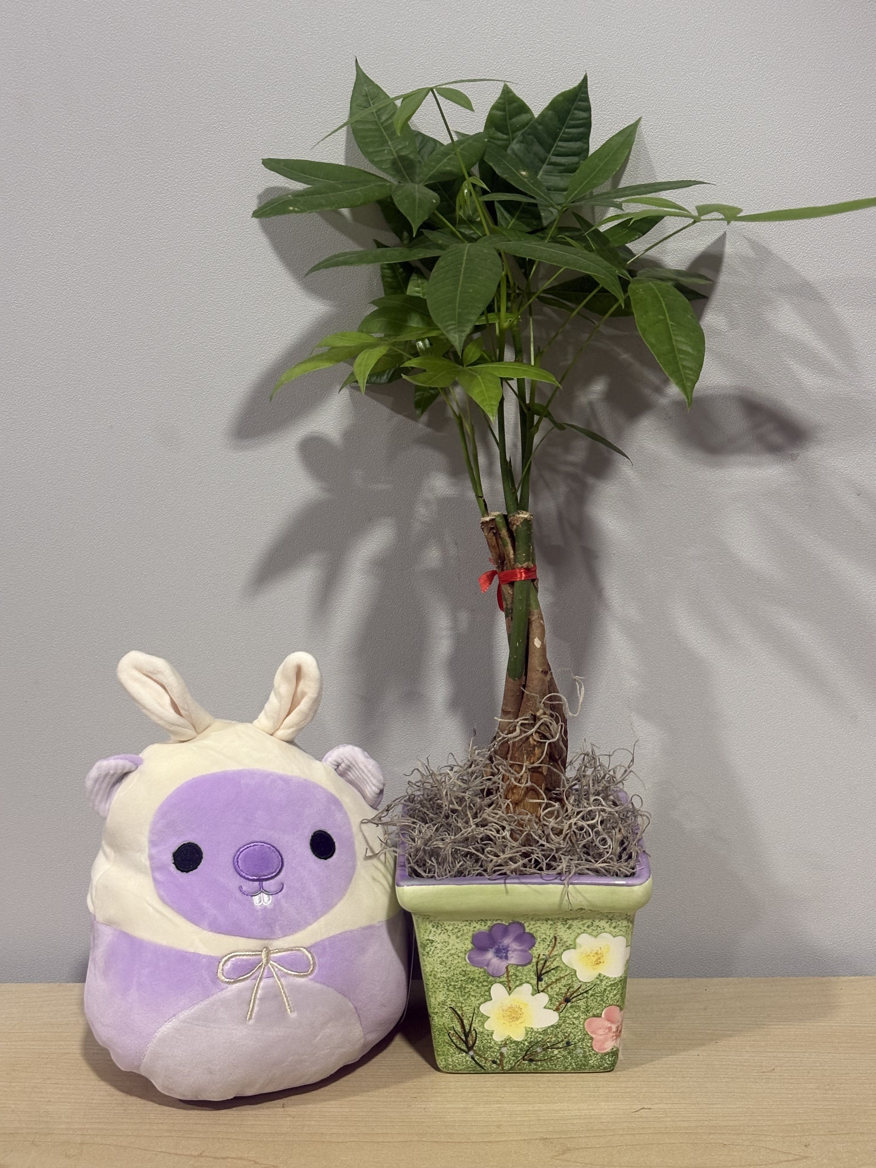 Money Tree &amp; Easter Stuffie - As shown 