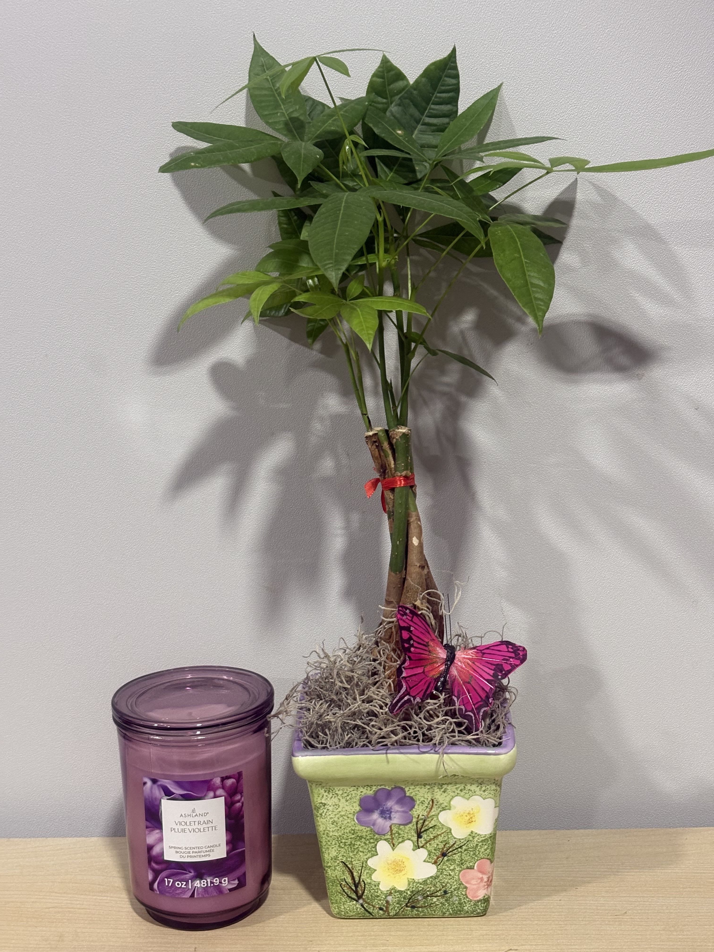 Money Tree &amp; Candle - As shown 