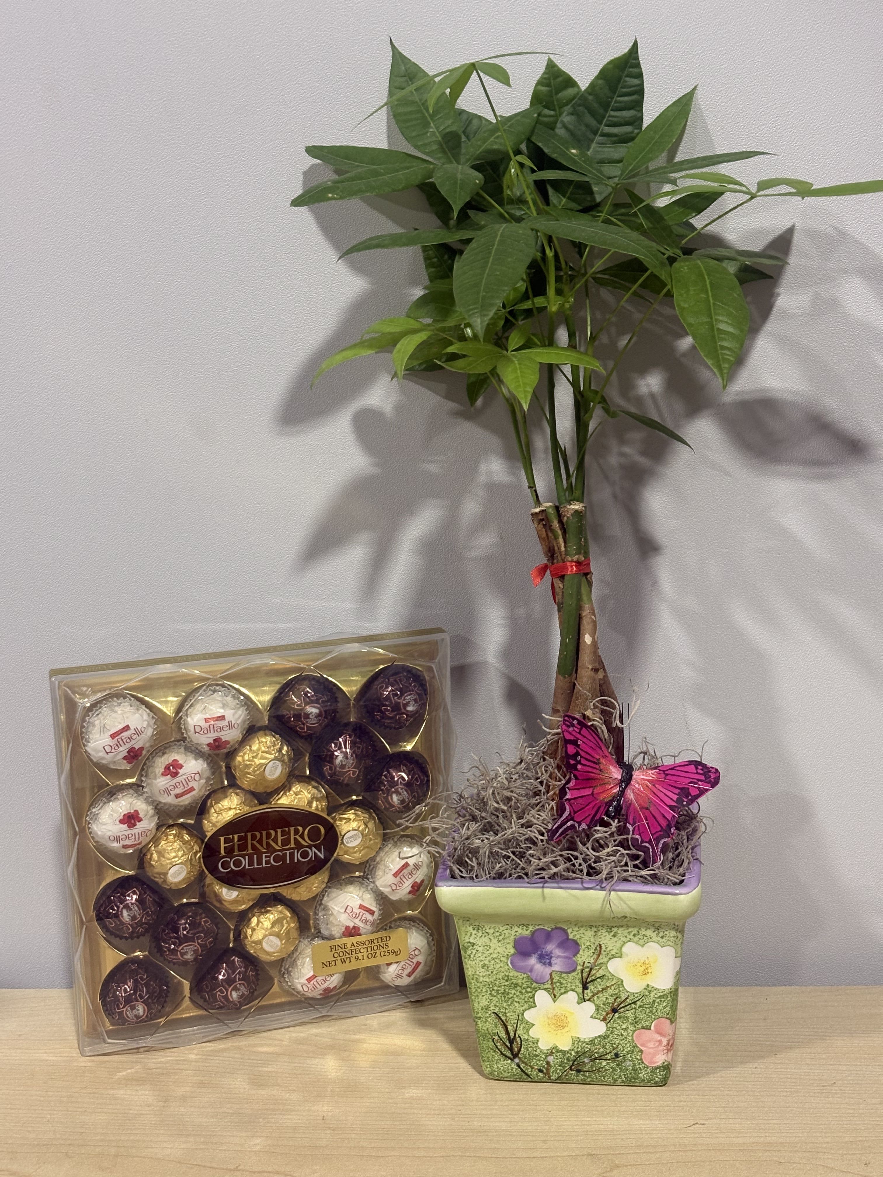 Spring Money Tree &amp; Chocolates  - As shown 