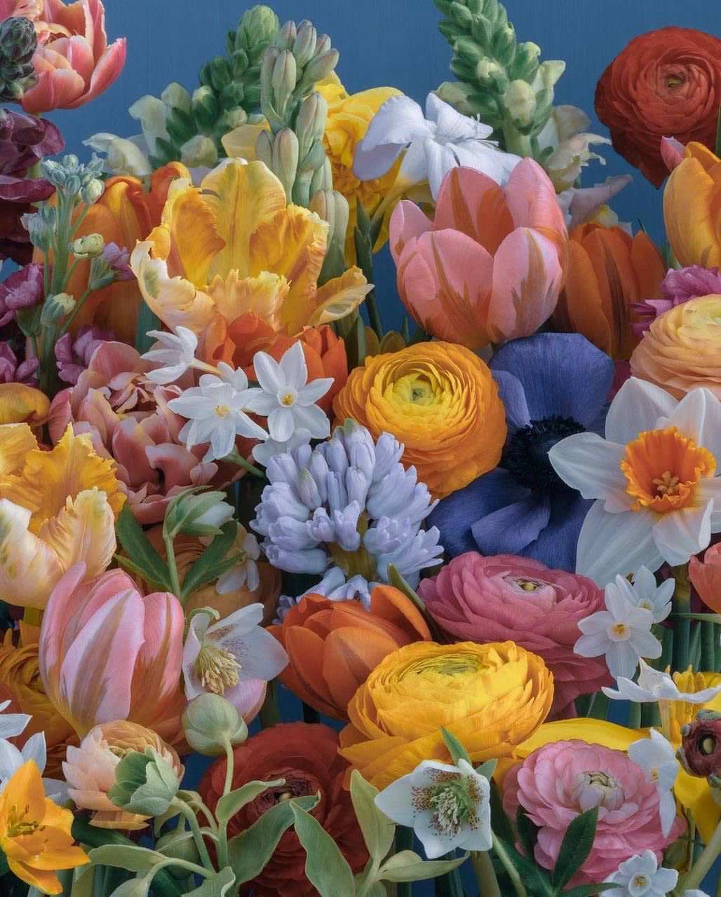 Designer's Choice $150 - Our designer will design a gorgeous seasonal bouquet with the freshest possible flowers that is sure to delight anyone who receives it. We deliver one-of-a-kind floral art pieces that will be remembered and praised for years to come. We guarantee it!   Flowers and greenery may vary due to seasonal availability, but that’s part of the charm! Our creative designers will substitute with the freshest high end product available- some grown in our very own garden!- and create something beautiful.  *Have a special request?* Let us know in the special instructions section during checkout.