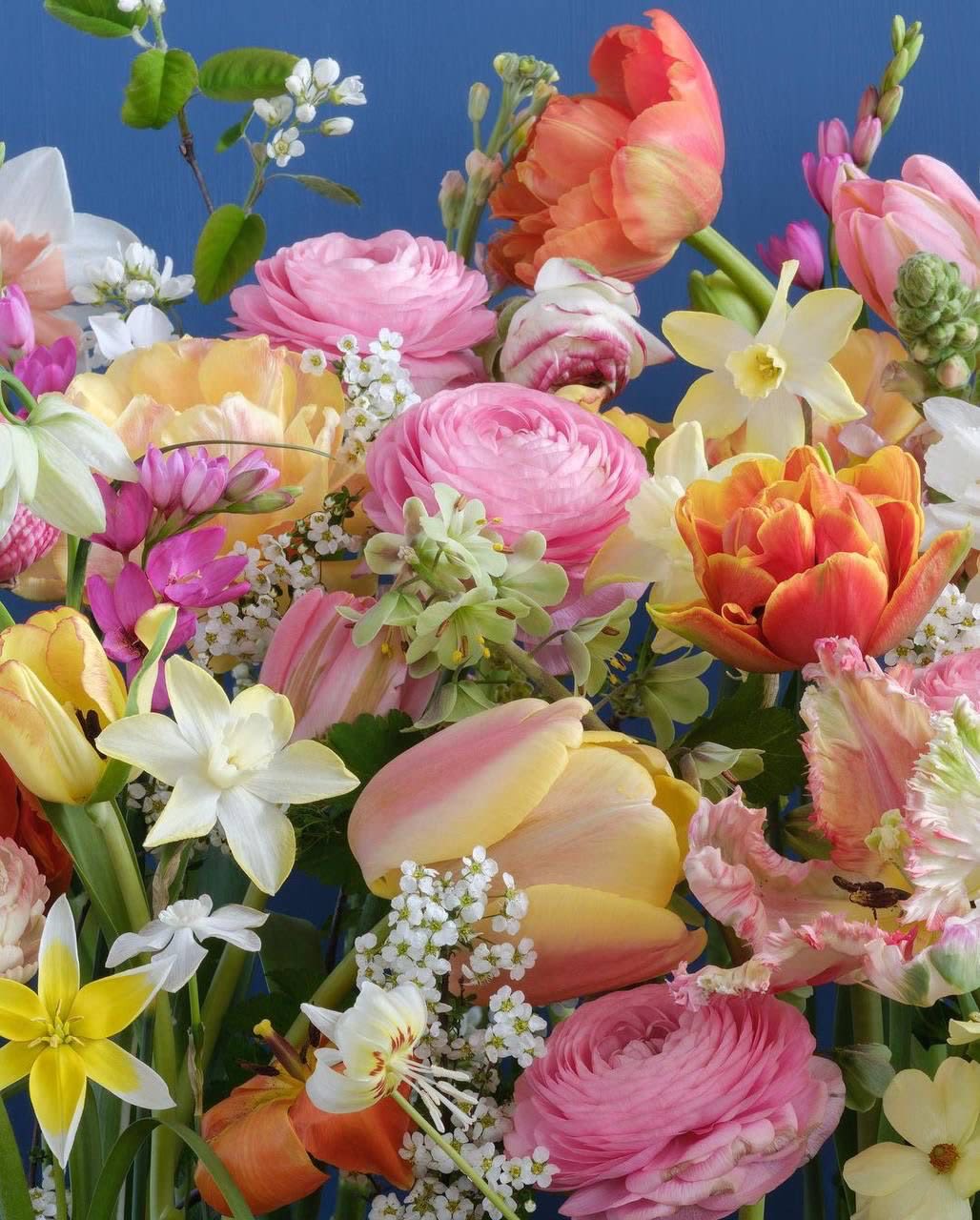 Designer's Choice $175 - Our designer will design a gorgeous seasonal bouquet with the freshest possible flowers that is sure to delight anyone who receives it. We deliver one-of-a-kind floral art pieces that will be remembered and praised for years to come. We guarantee it!   Flowers and greenery may vary due to seasonal availability, but that’s part of the charm! Our creative designers will substitute with the freshest high end product available- some grown in our very own garden!- and create something beautiful.  *Have a special request?* Let us know in the special instructions section during checkout.