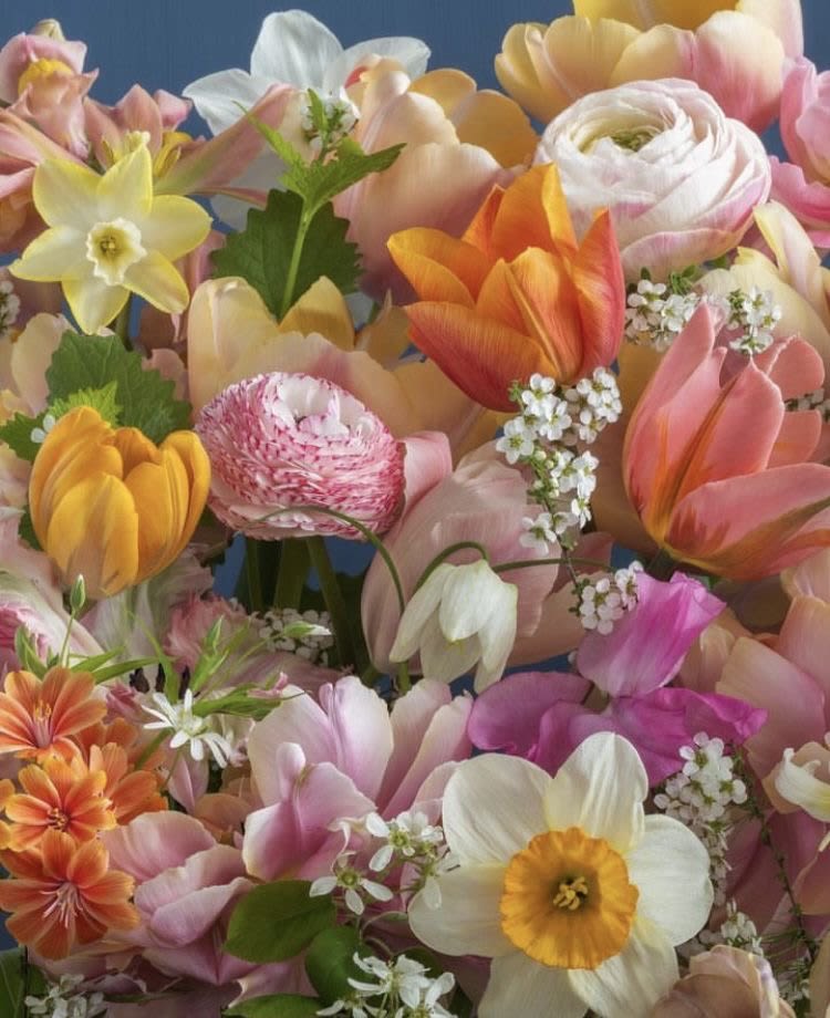 Designer's Choice $200 - Our designer will design a gorgeous seasonal bouquet with the freshest possible flowers that is sure to delight anyone who receives it. We deliver one-of-a-kind floral art pieces that will be remembered and praised for years to come. We guarantee it!   Flowers and greenery may vary due to seasonal availability, but that’s part of the charm! Our creative designers will substitute with the freshest high end product available- some grown in our very own garden!- and create something beautiful.  *Have a special request?* Let us know in the special instructions section during checkout.