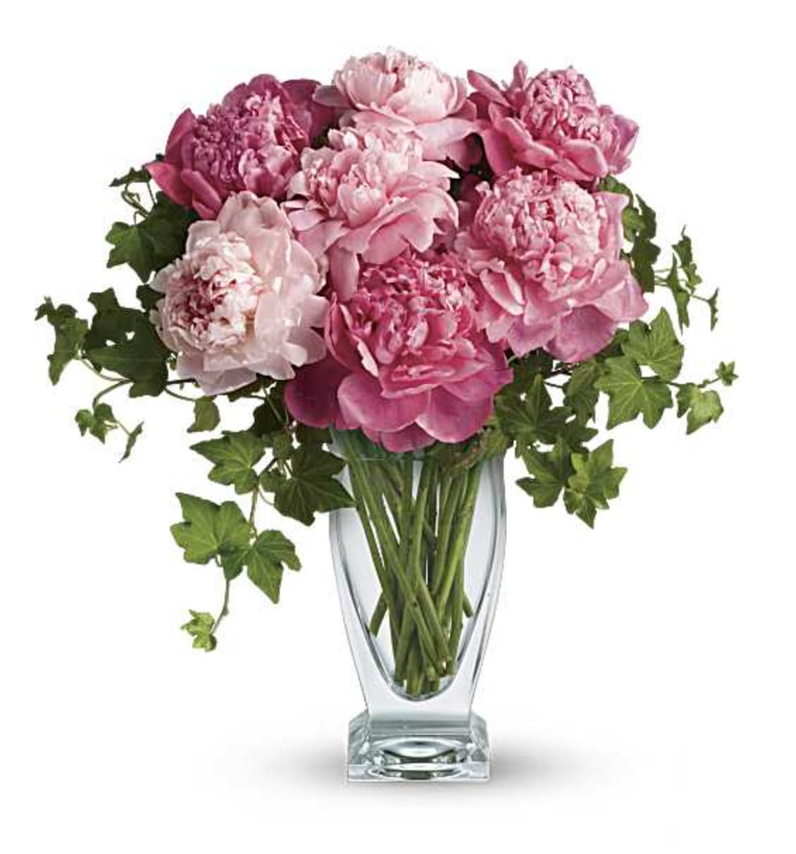 Perfect Peonies - Peony perfection! Everyone loves the lush, cloud-like appearance of fresh cut peonies. The romantic, feminine bloom is a popular summer wedding flower. In fact, many brides select their June or July wedding dates based on the cut peony flower season! This simple bouquet is a beautiful pick for any pink-lover.   Freshly cut pink peonies and classic gathered elegantly into a glass vase.