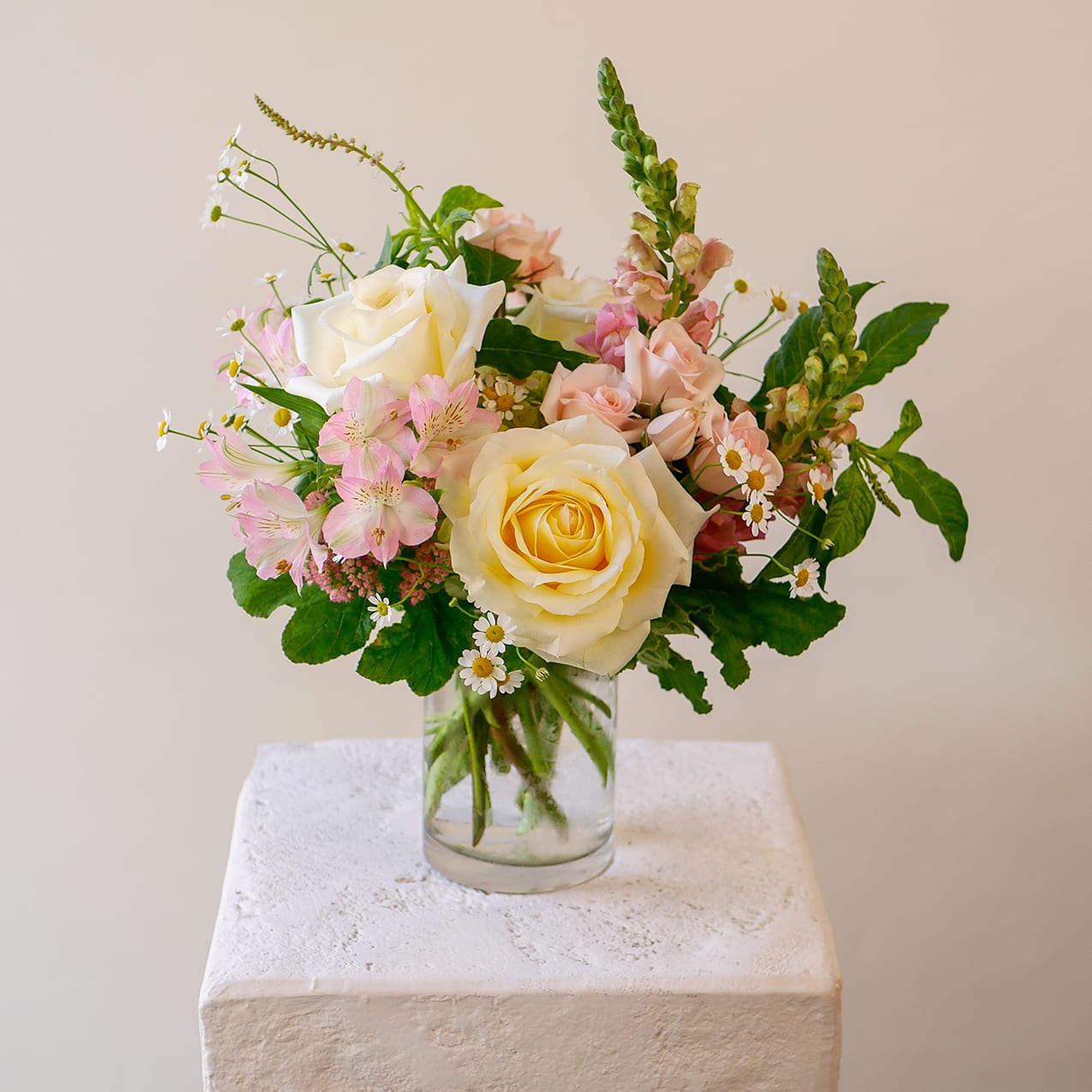 Blushing Goodness - A refined, garden-style arrangement designed with a soft palette of ivory, buttercream, and blush. Premium roses anchor the composition, complemented by delicate alstroemeria, airy chamomile, snapdragons and textured seasonal accents. Arranged in a 4x6" clear glass cylinder, each stem is intentionally placed to create movement, depth, and a natural, freshly gathered feel. Arrangement will be delivered approximately as pictured, about 15" tall and 13" wide.  Ideal for thoughtful gifting, intimate celebrations, or elevating everyday spaces, this design balances softness with structure—never sparse, always composed with high-quality blooms and precise craftsmanship.