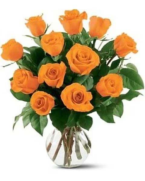 Dozen Orange Roses - Roses are always the perfect way to show your love. With these gorgeous orange roses, you?ll find fall is the perfect time to tell them so.