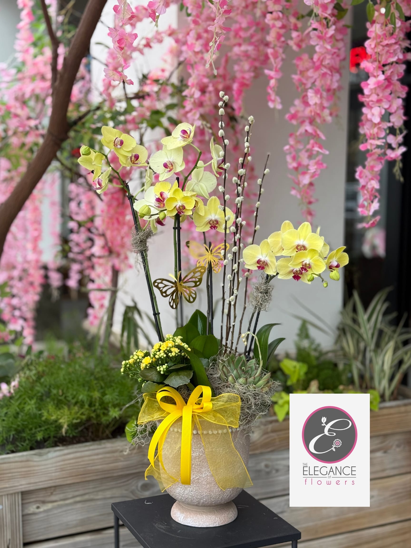 Orchid Arrangement #16 - N/A